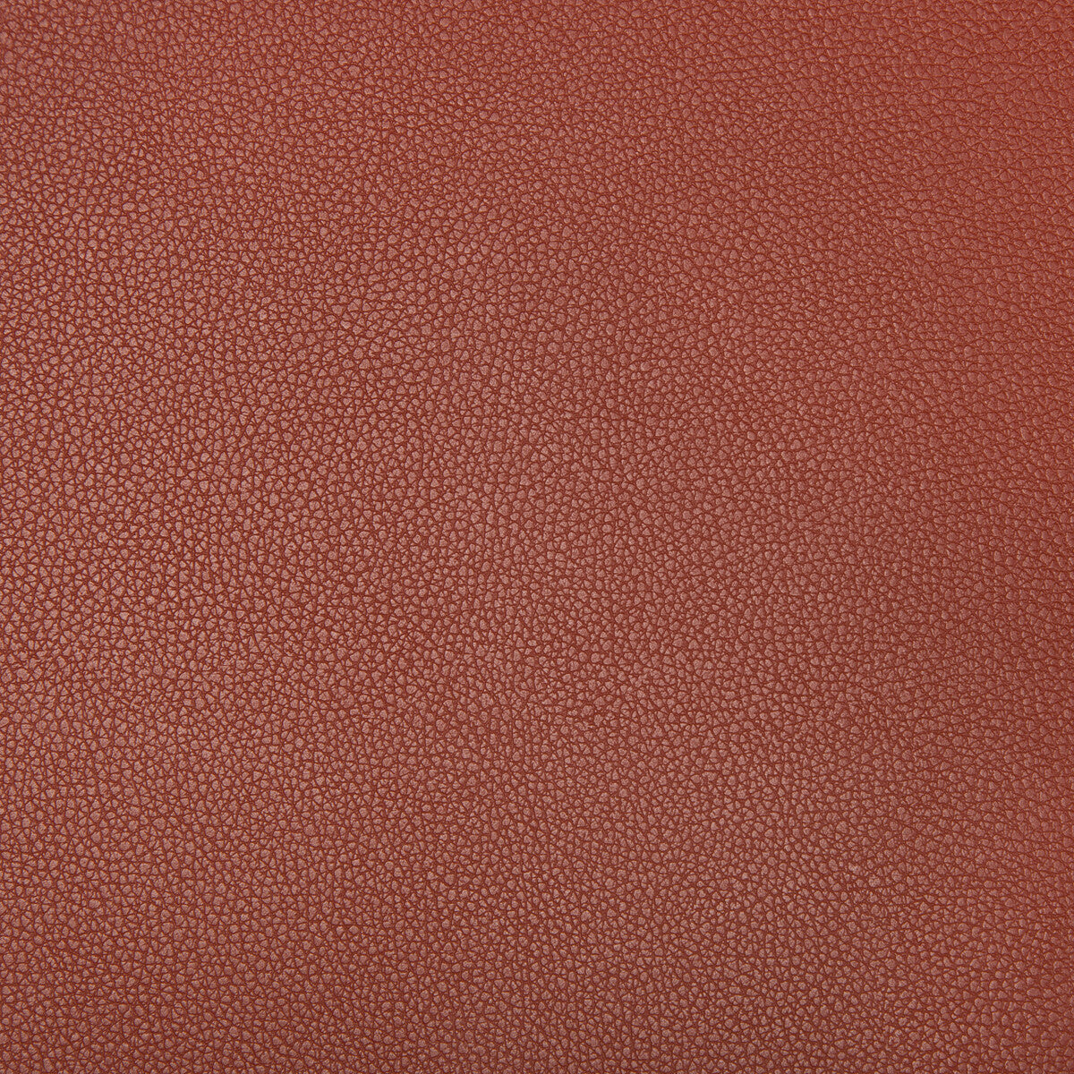 Syrus fabric in sienna color - pattern SYRUS.924.0 - by Kravet Contract