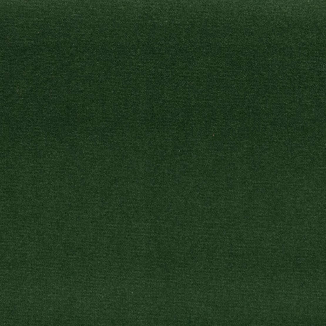 Sahara fabric in boxwood color - pattern number 05873 - by Europatex in the Sahara collection