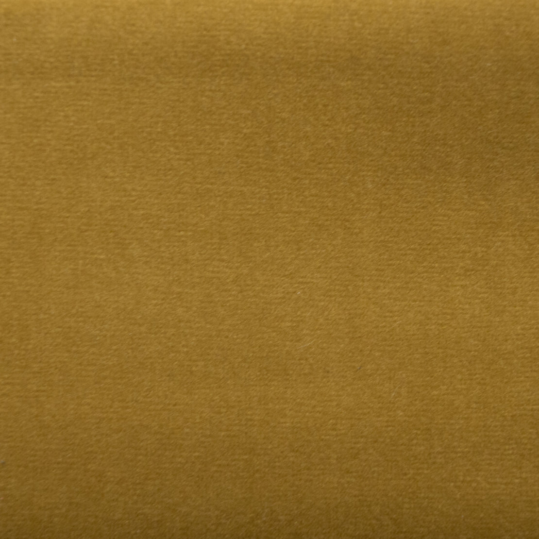 Sahara fabric in lion color - pattern number 05896 - by Europatex in the Sahara collection