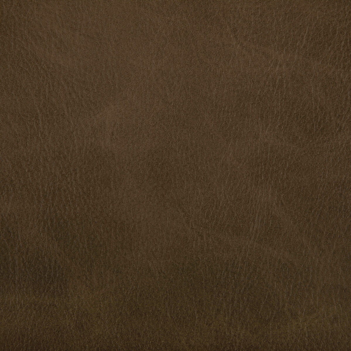Toni fabric in etruscan color - pattern TONI.166.0 - by Kravet Contract