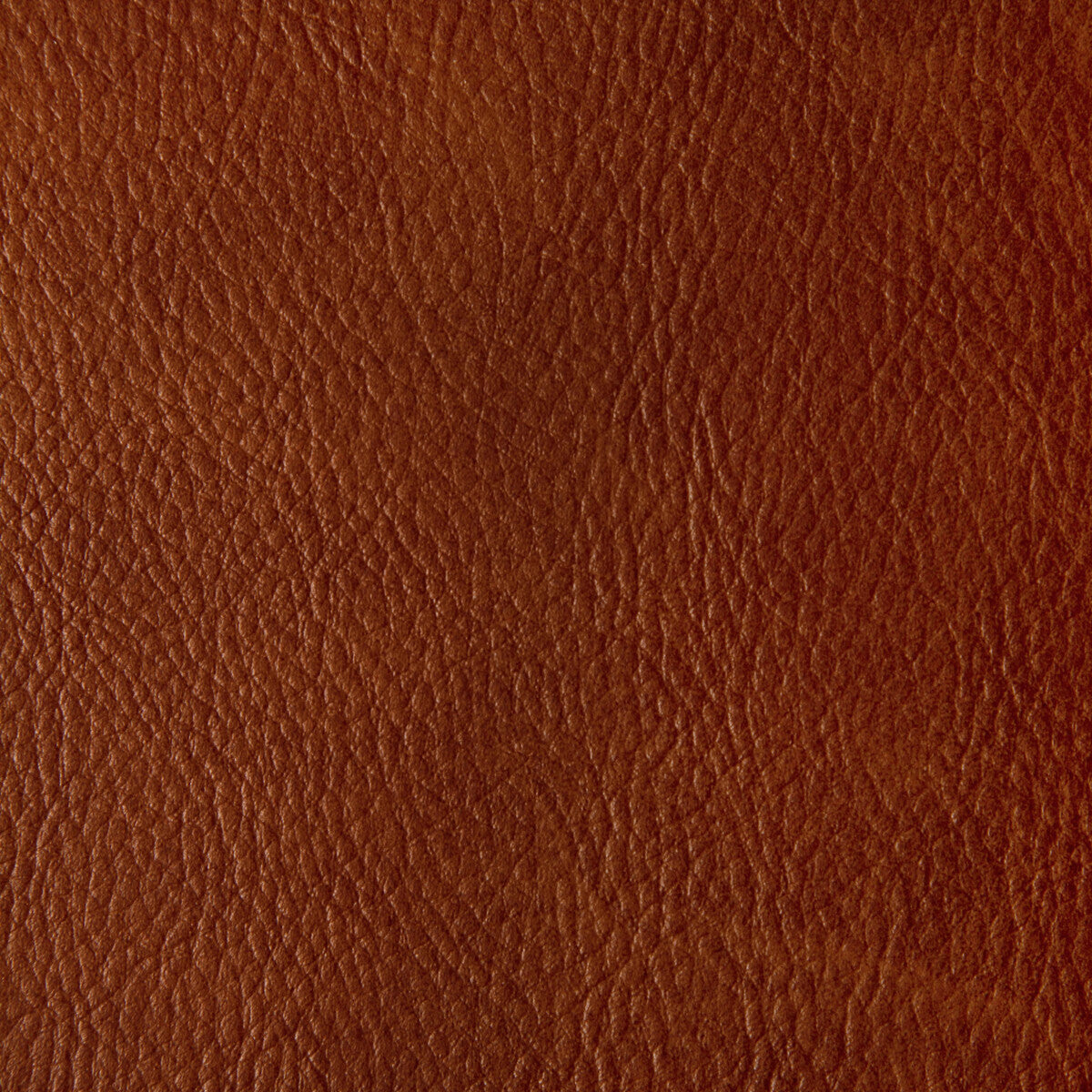 Toni fabric in mesa color - pattern TONI.24.0 - by Kravet Contract