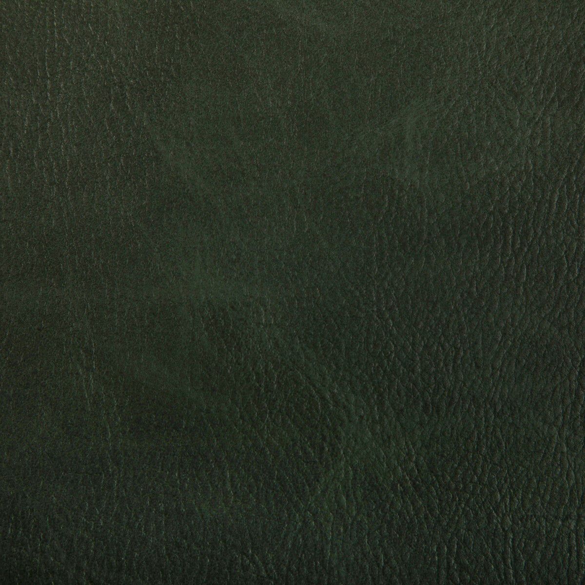 Toni fabric in woodland color - pattern TONI.303.0 - by Kravet Contract