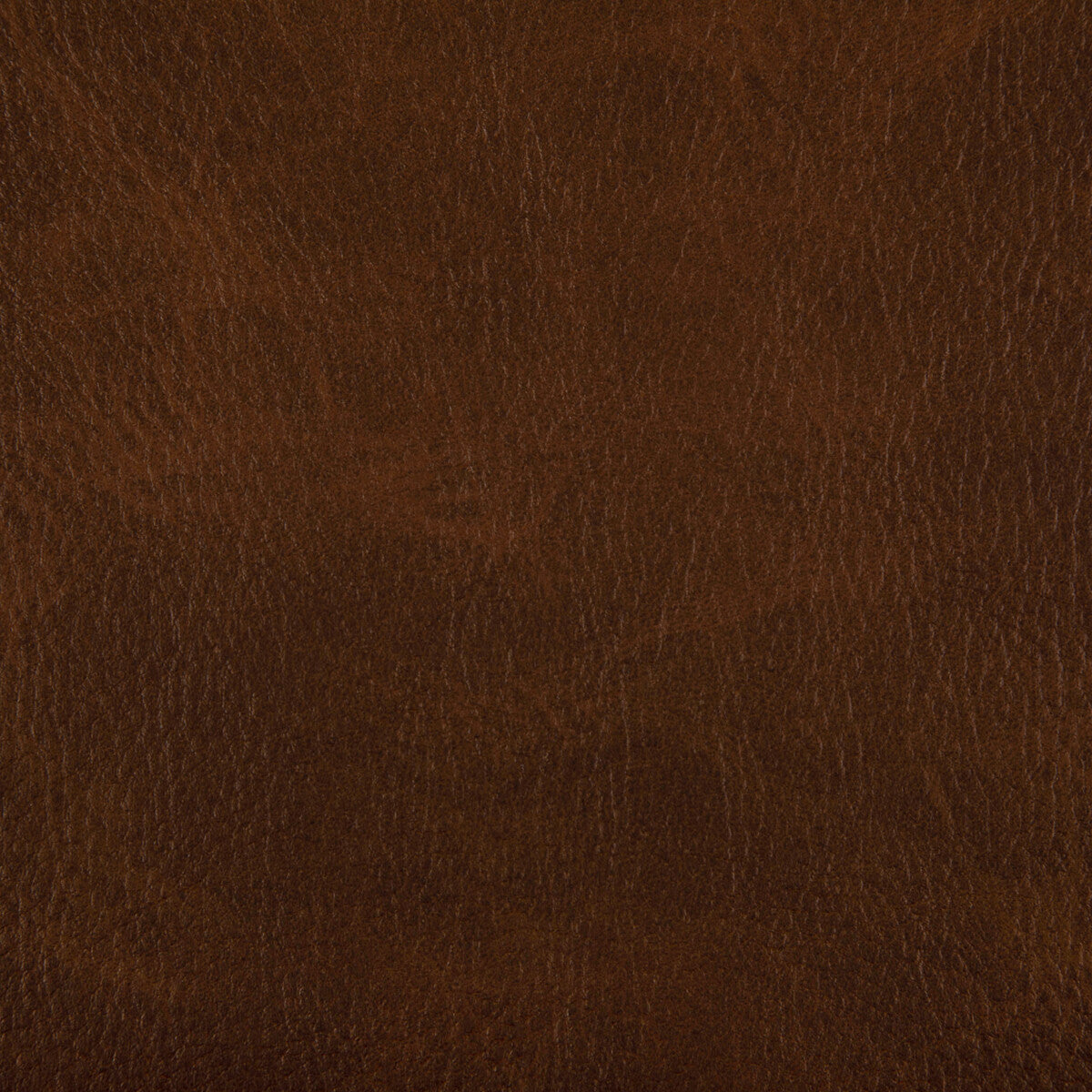 Toni fabric in whisky color - pattern TONI.606.0 - by Kravet Contract