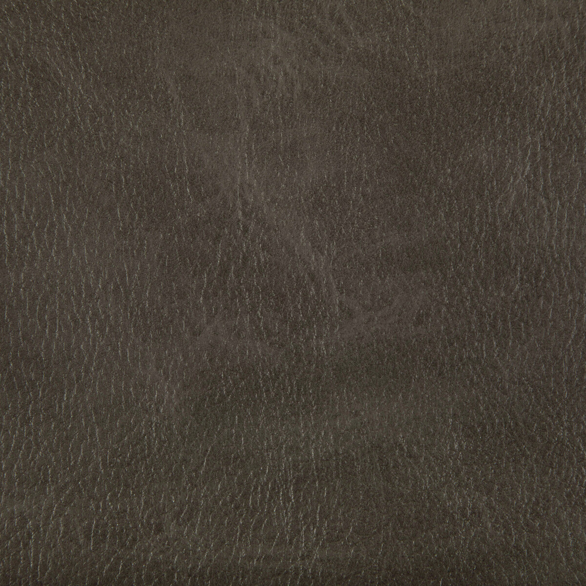 Toni fabric in rustler color - pattern TONI.66.0 - by Kravet Contract