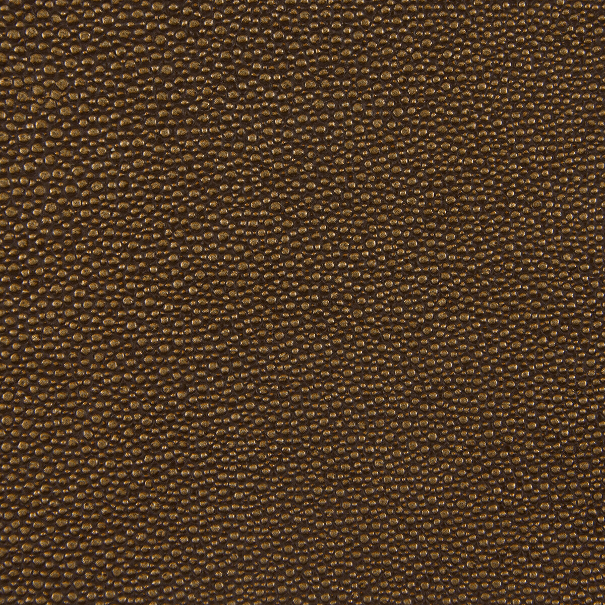 Kf Des fabric - pattern TREZZO.6.0 - by Kravet Design