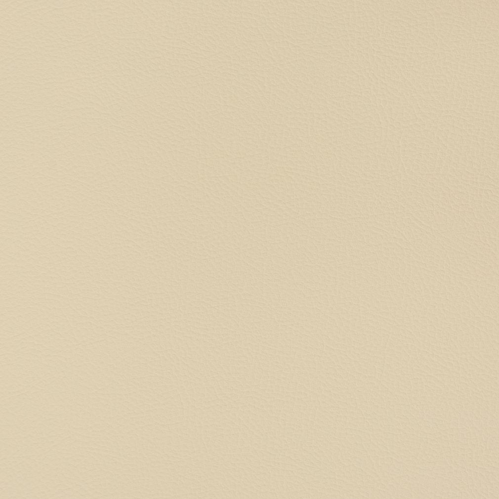 Faux Textured Leather fabric in sand dollar color - pattern number V346 - by Charlotte in the Automotive Vinyl collection
