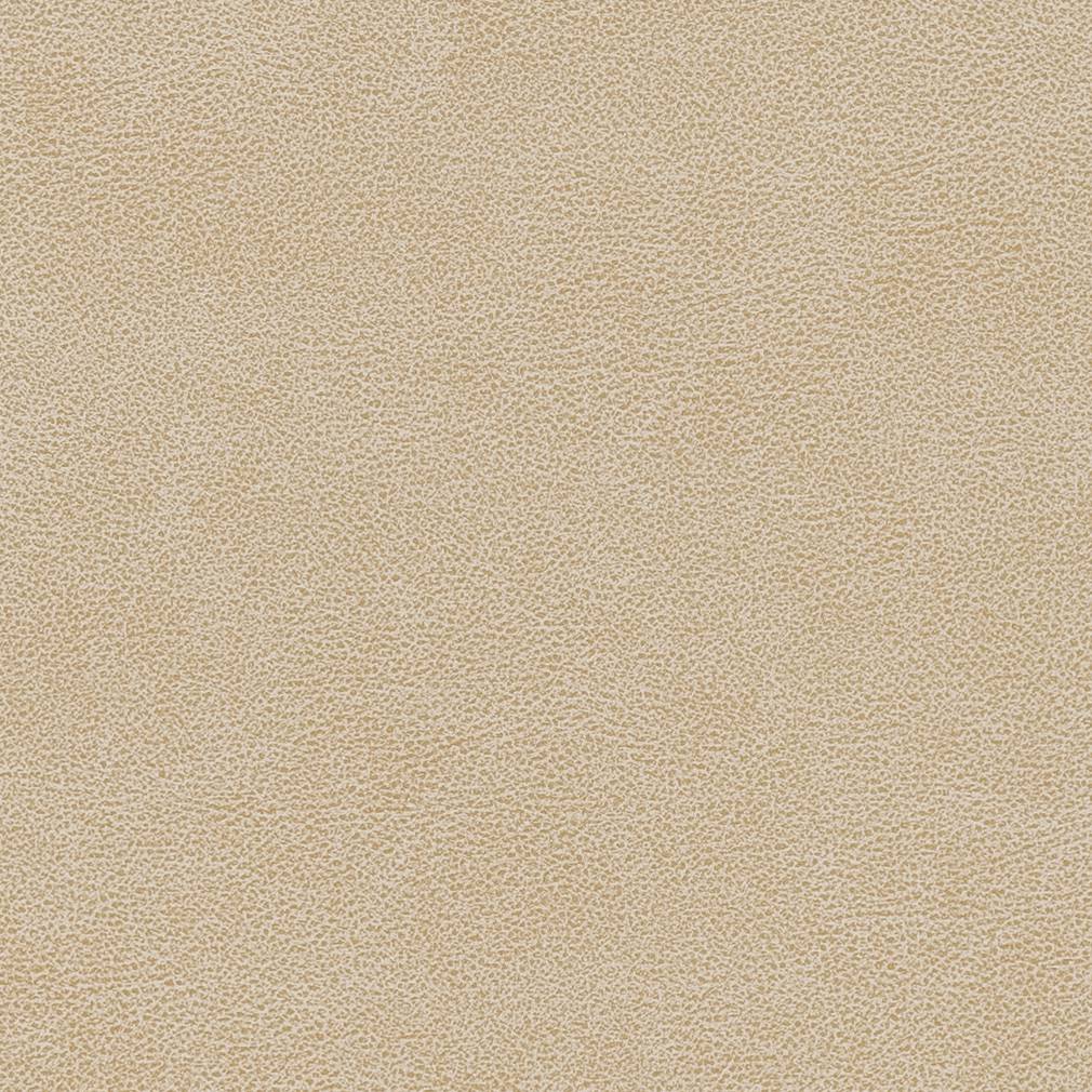 Performance Vinyl Look fabric in sand dollar color - pattern number V502 - by Charlotte in the Breathables IV collection