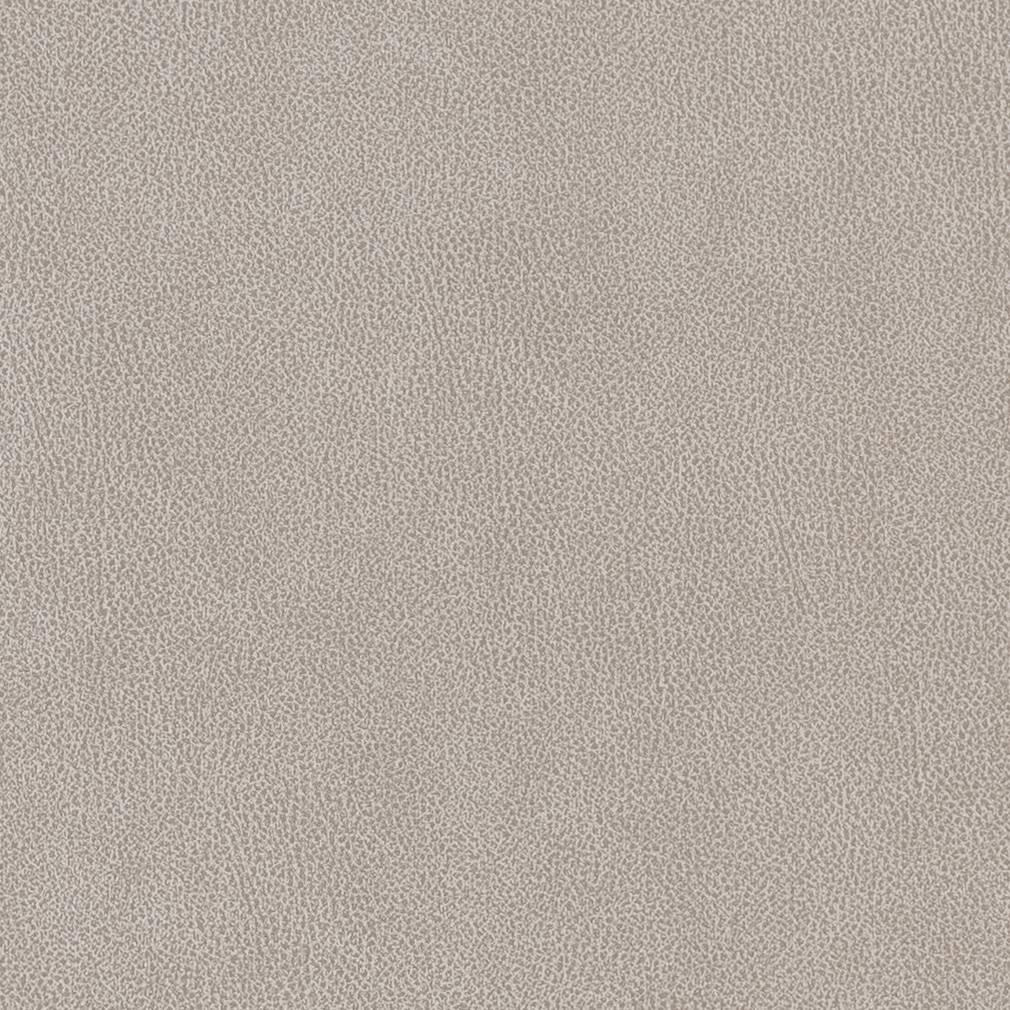 Performance Vinyl Look fabric in platinum color - pattern number V503 - by Charlotte in the Breathables IV collection
