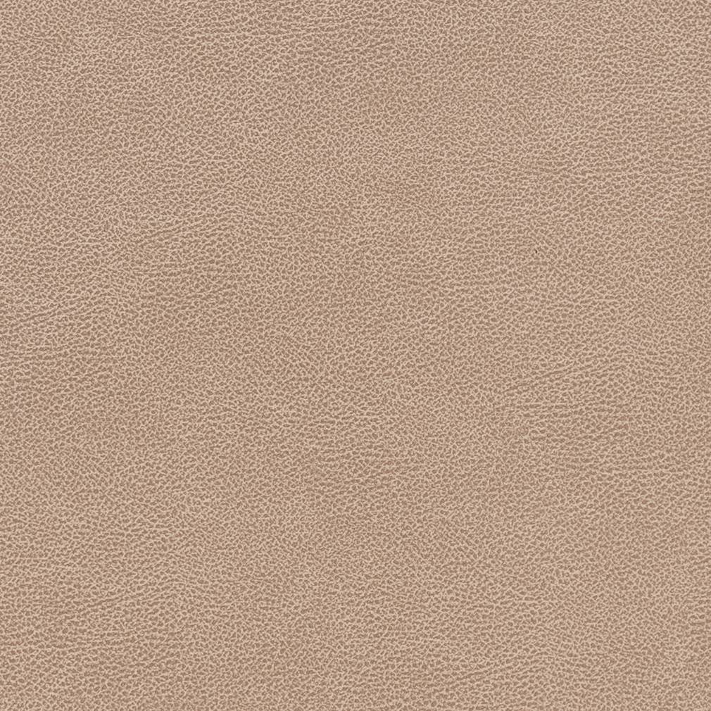Performance Vinyl Look fabric in cashew color - pattern number V505 - by Charlotte in the Breathables IV collection