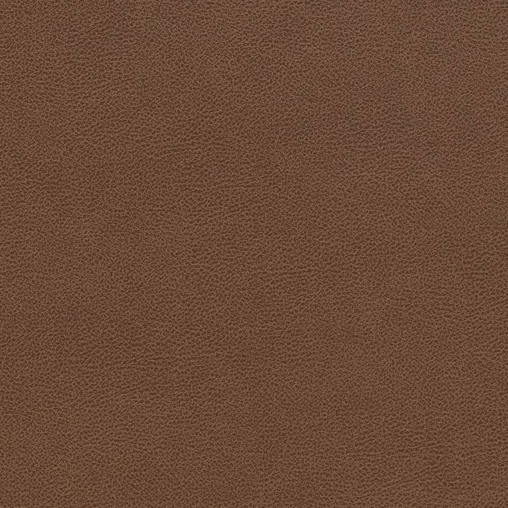 Performance Vinyl Look fabric in pecan color - pattern number V509 - by Charlotte in the Breathables IV collection