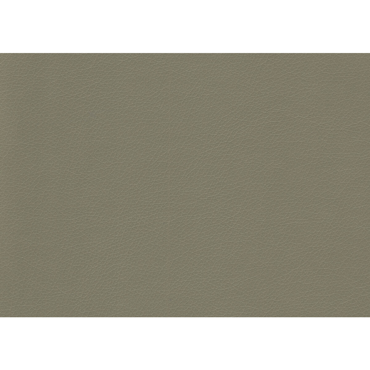 Valera fabric in greystone color - pattern VALERA.11.0 - by Kravet Contract in the Sta-Kleen collection