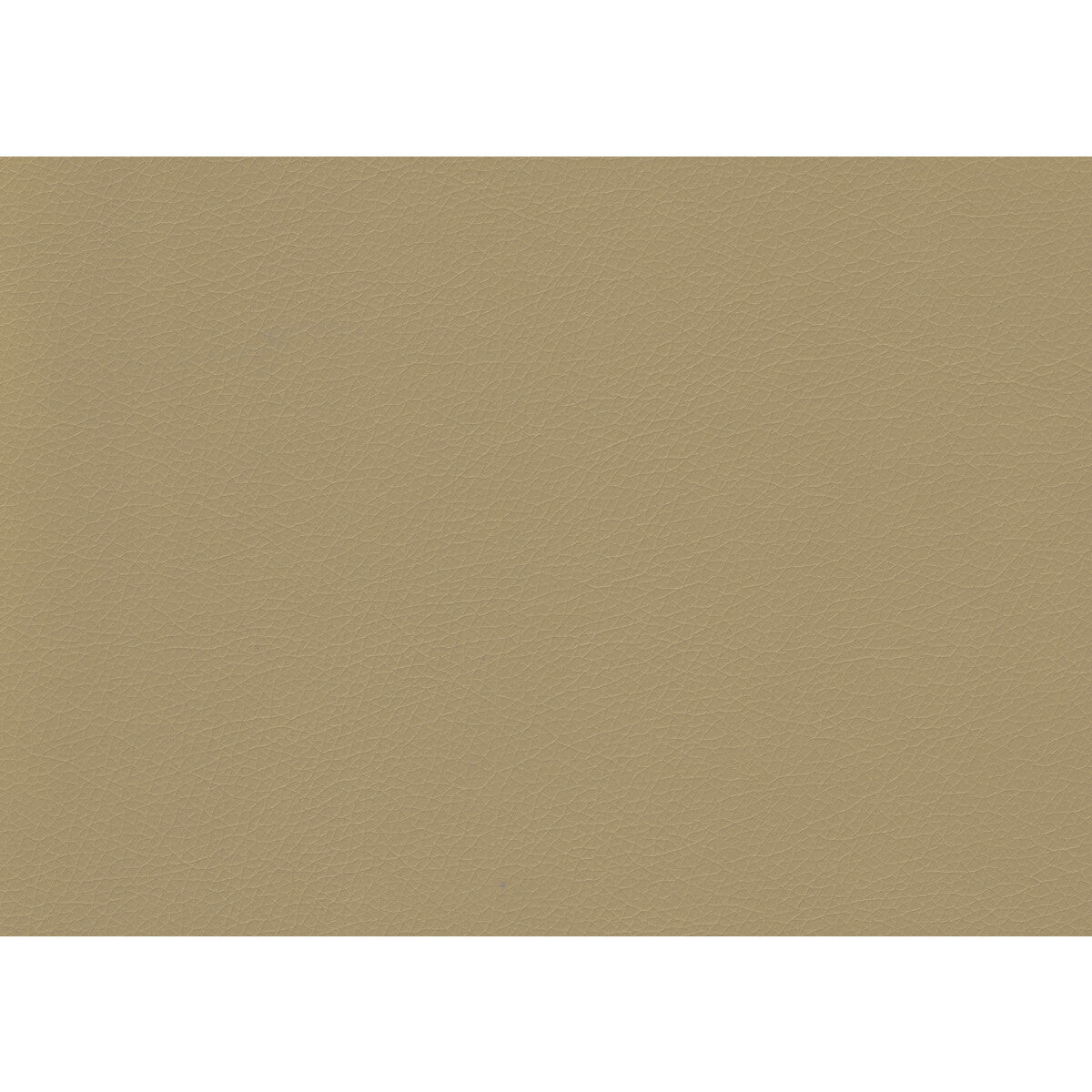 Valera fabric in dune color - pattern VALERA.16.0 - by Kravet Contract in the Sta-Kleen collection