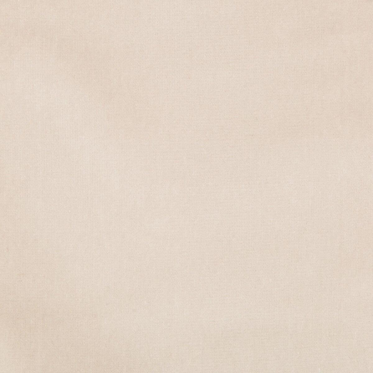 Versailles fabric in e20301 color - pattern VERSAILLES.E20301.0 - by Kravet Design