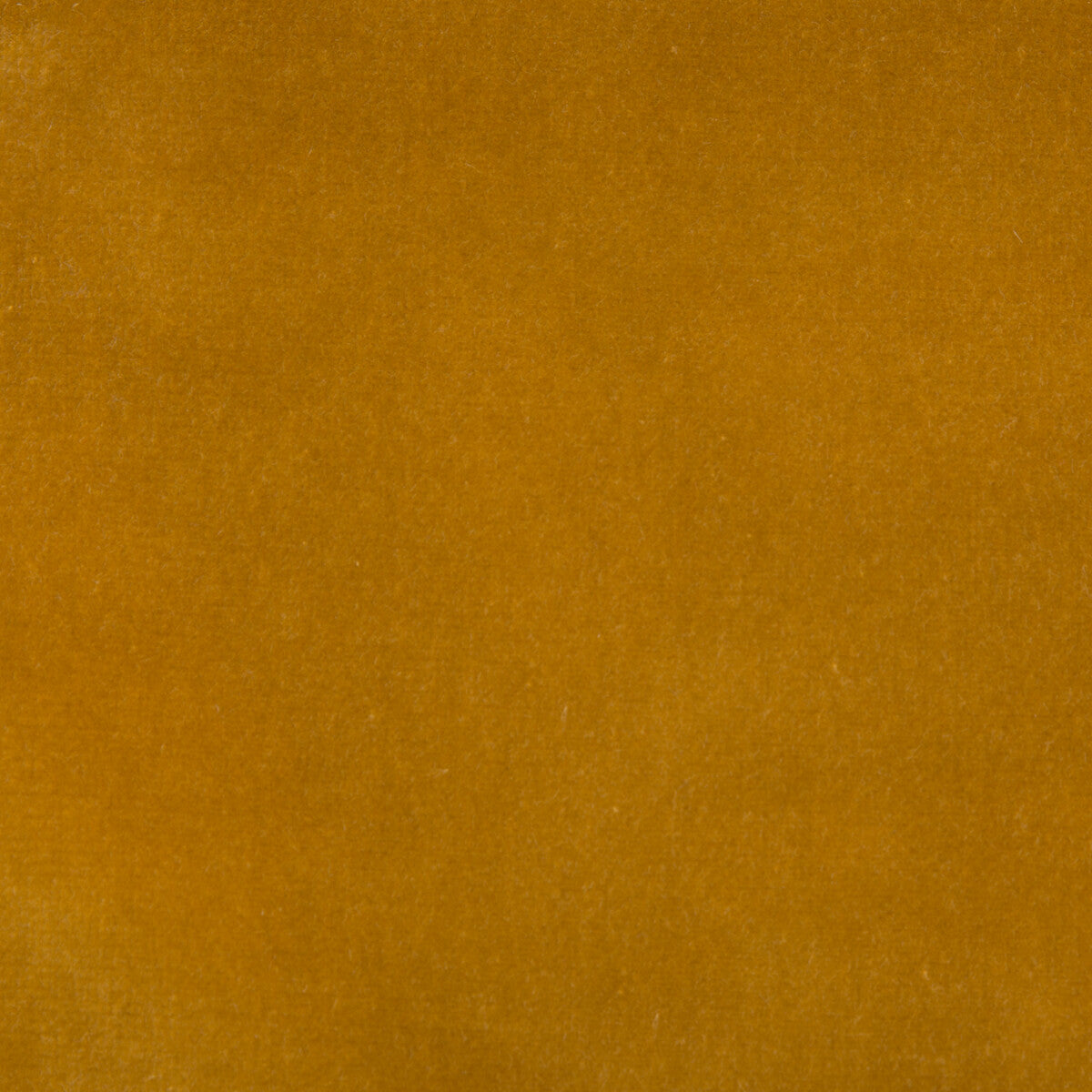 Kravet Design fabric in versailles-e219010 color - pattern VERSAILLES.E21901.0 - by Kravet Design