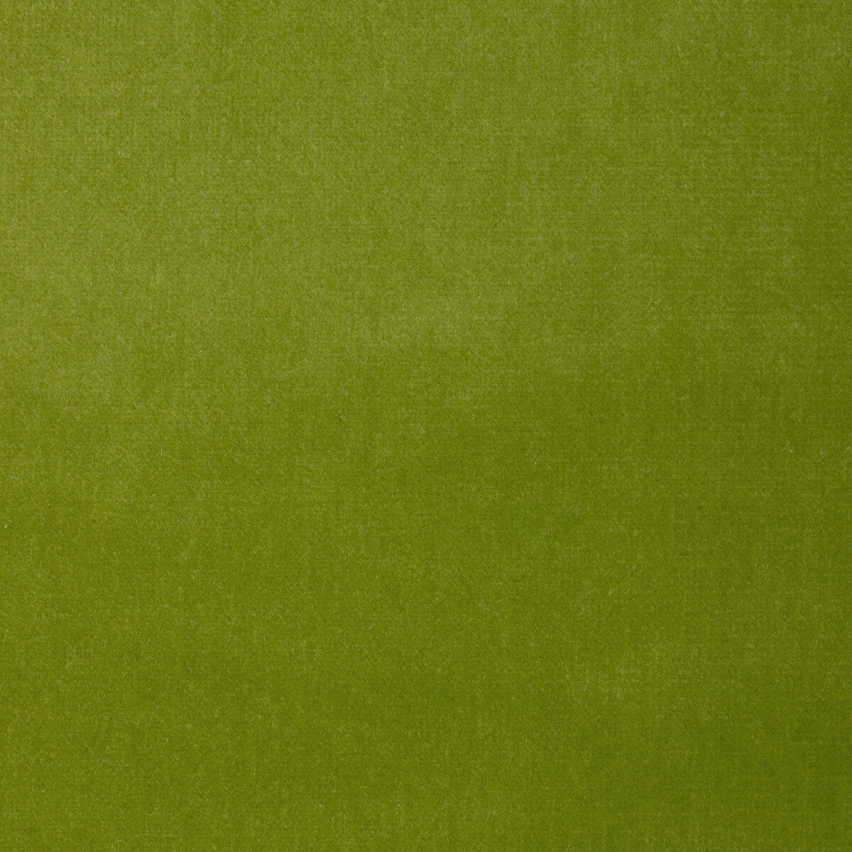 Versailles fabric in e26324 color - pattern number VERSAILLES.E26324.0 - by Kravet Design in the Versailles Velvets Plus II collection