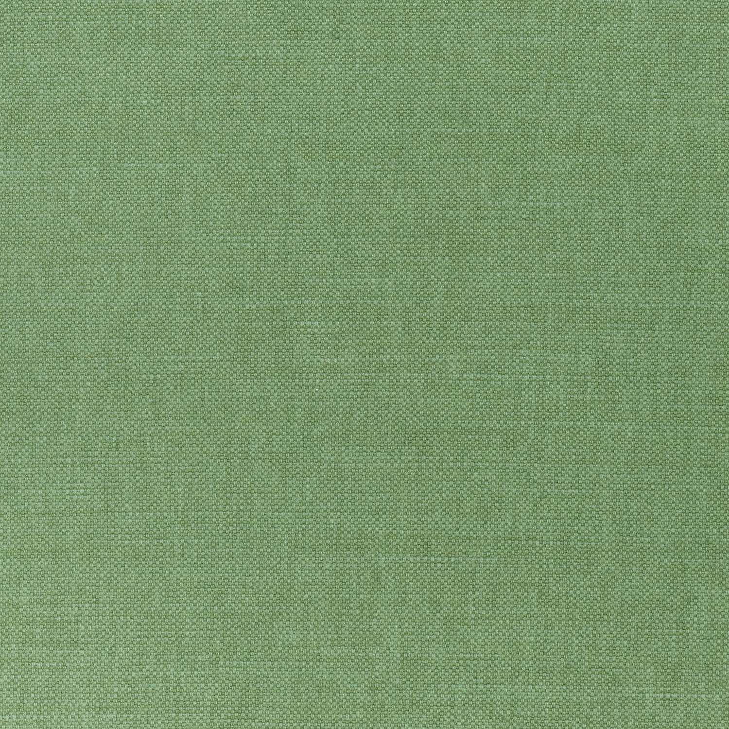 Prisma fabric in fern color - pattern number W70141 - by Thibaut in the Woven Resource Vol 12 Prisma Fabrics collection