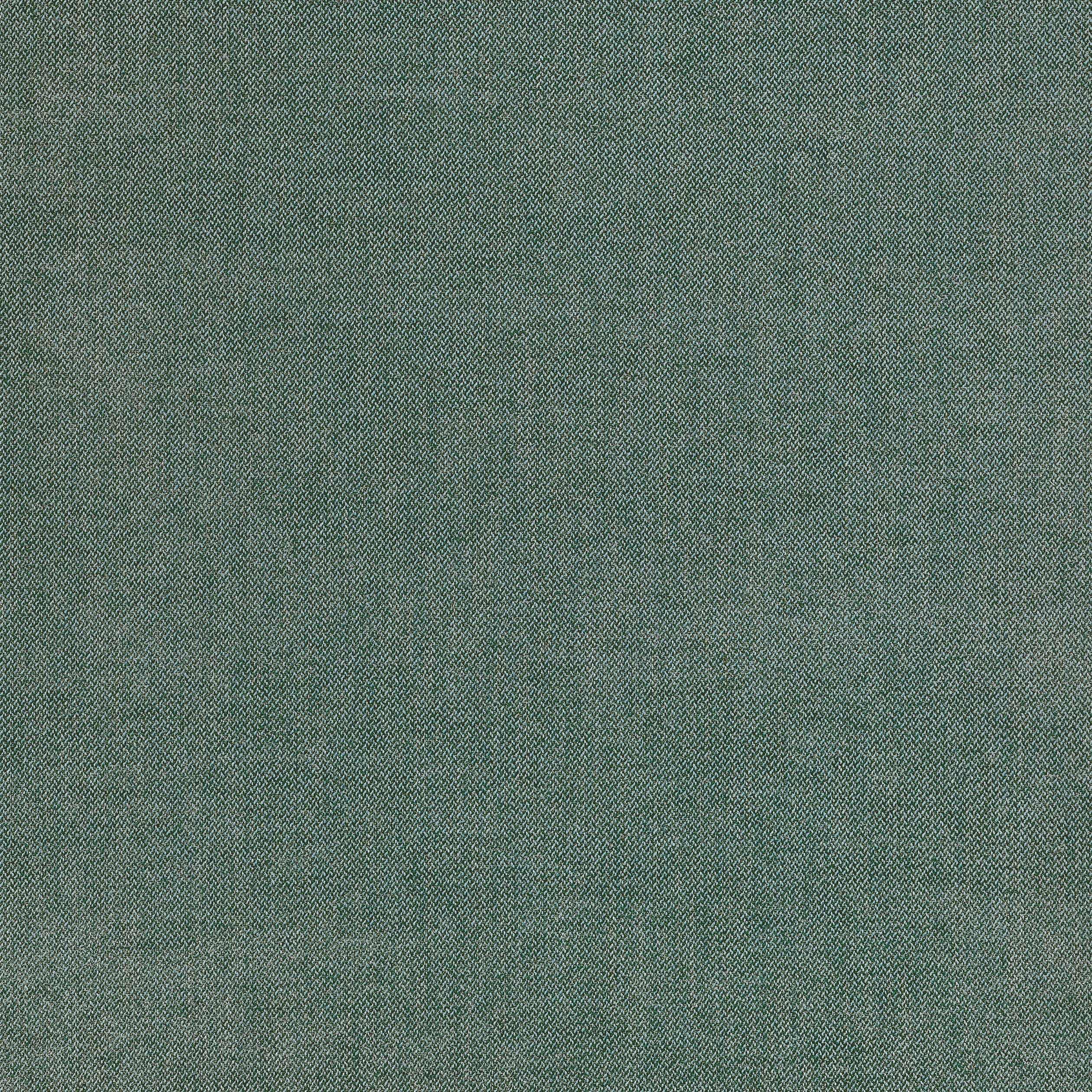 Picco fabric in spruce color - pattern number W711206 - by Thibaut in the Signature Textures collection