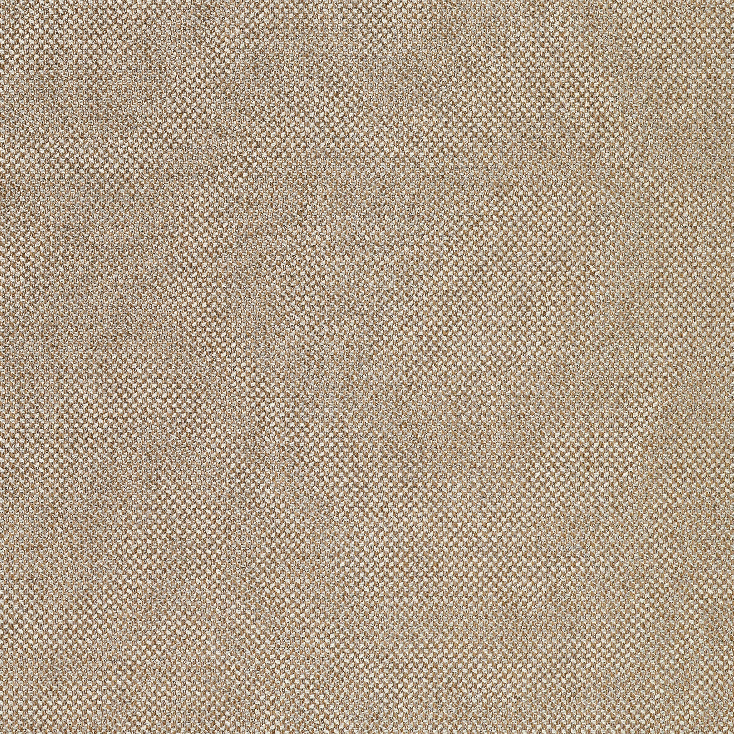Bizette fabric in bark color - pattern number W711245 - by Thibaut in the Signature Textures collection