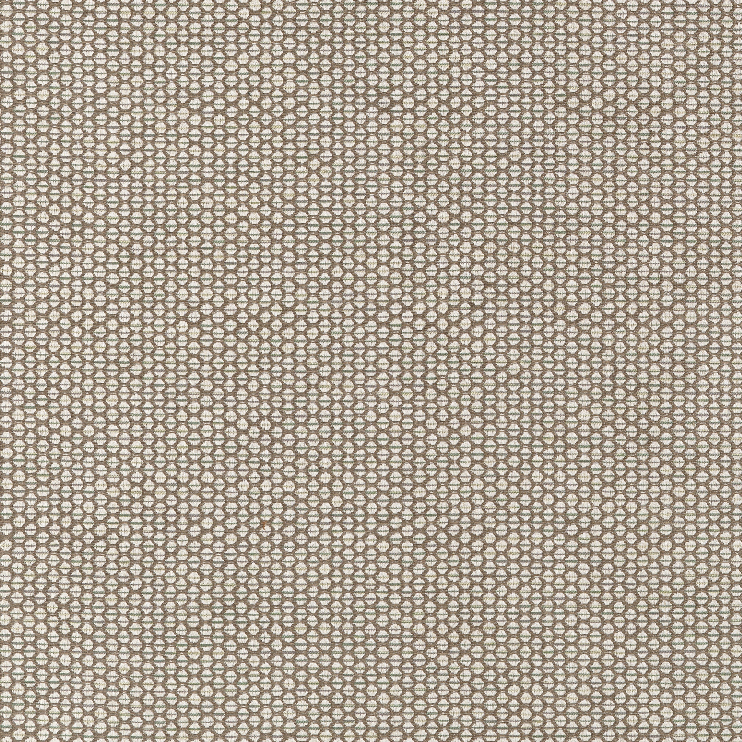 Endicott fabric in fawn color - pattern number W711306 - by Thibaut in the Savile collection