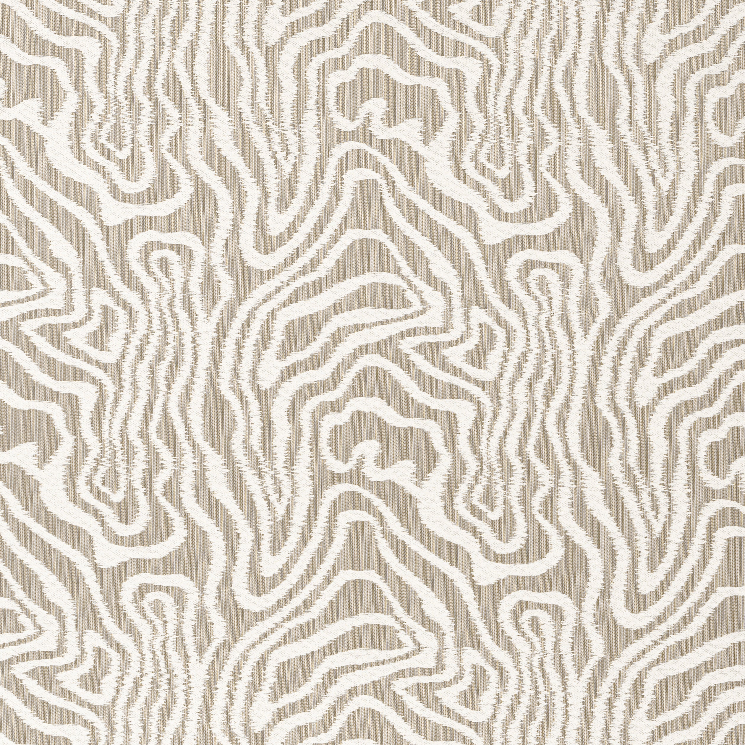 Alessandro fabric in taupe - pattern number W713612 - by Thibaut in the Grand Palace collection
