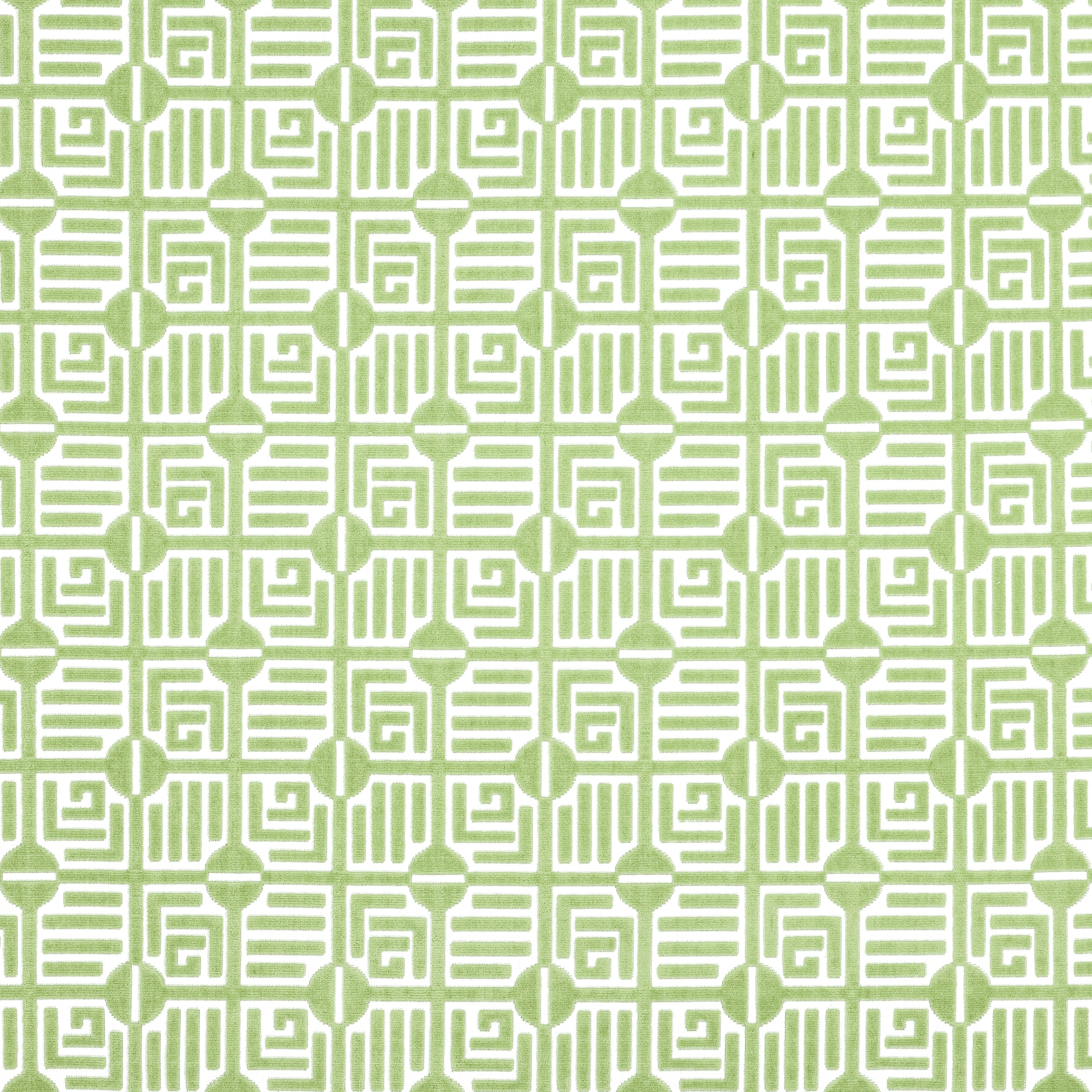 Labyrinth Velvet fabric in sage - pattern number W713644 - by Thibaut in the Grand Palace collection