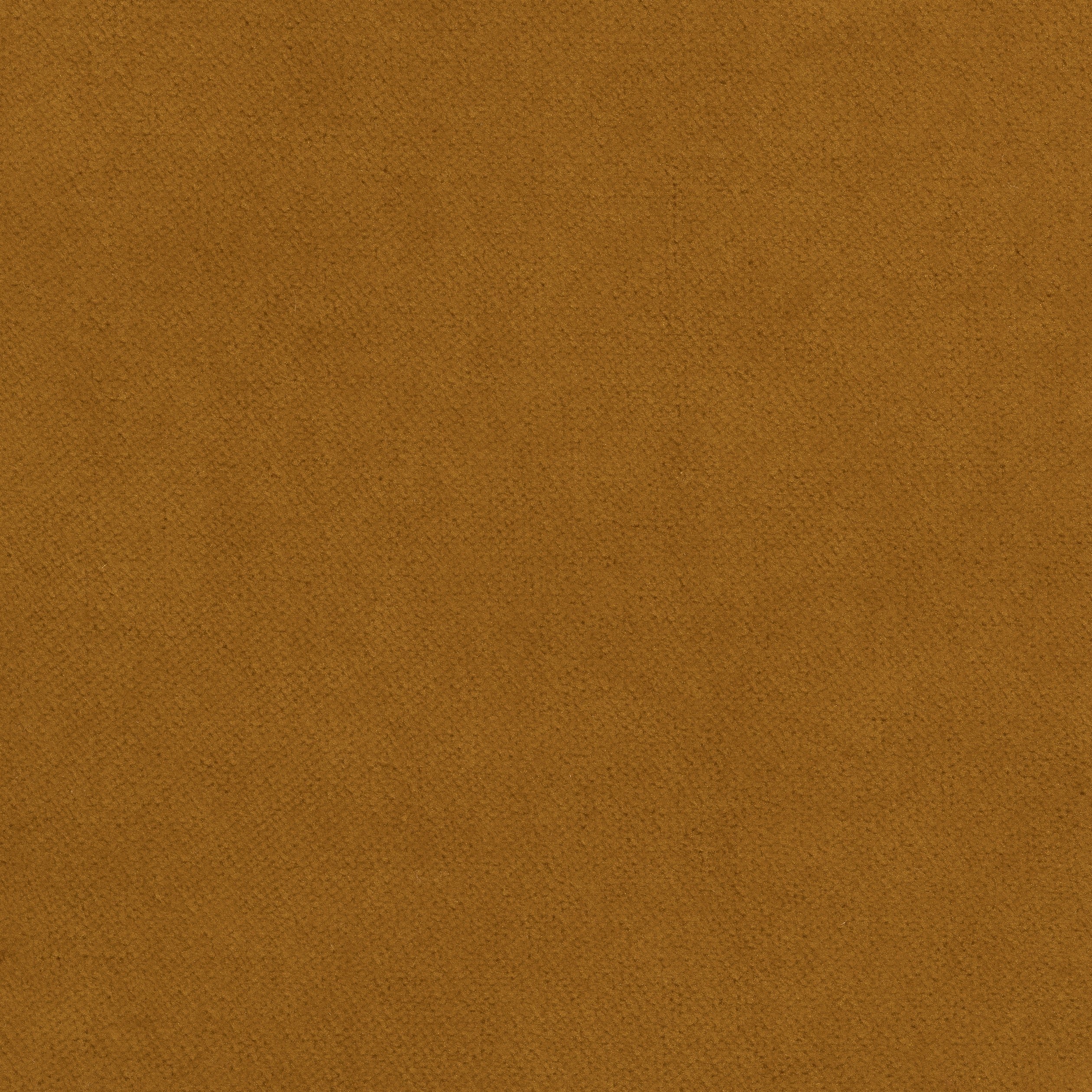 Club Velvet fabric in amber color - pattern number W7200 - by Thibaut in the Club Velvet collection