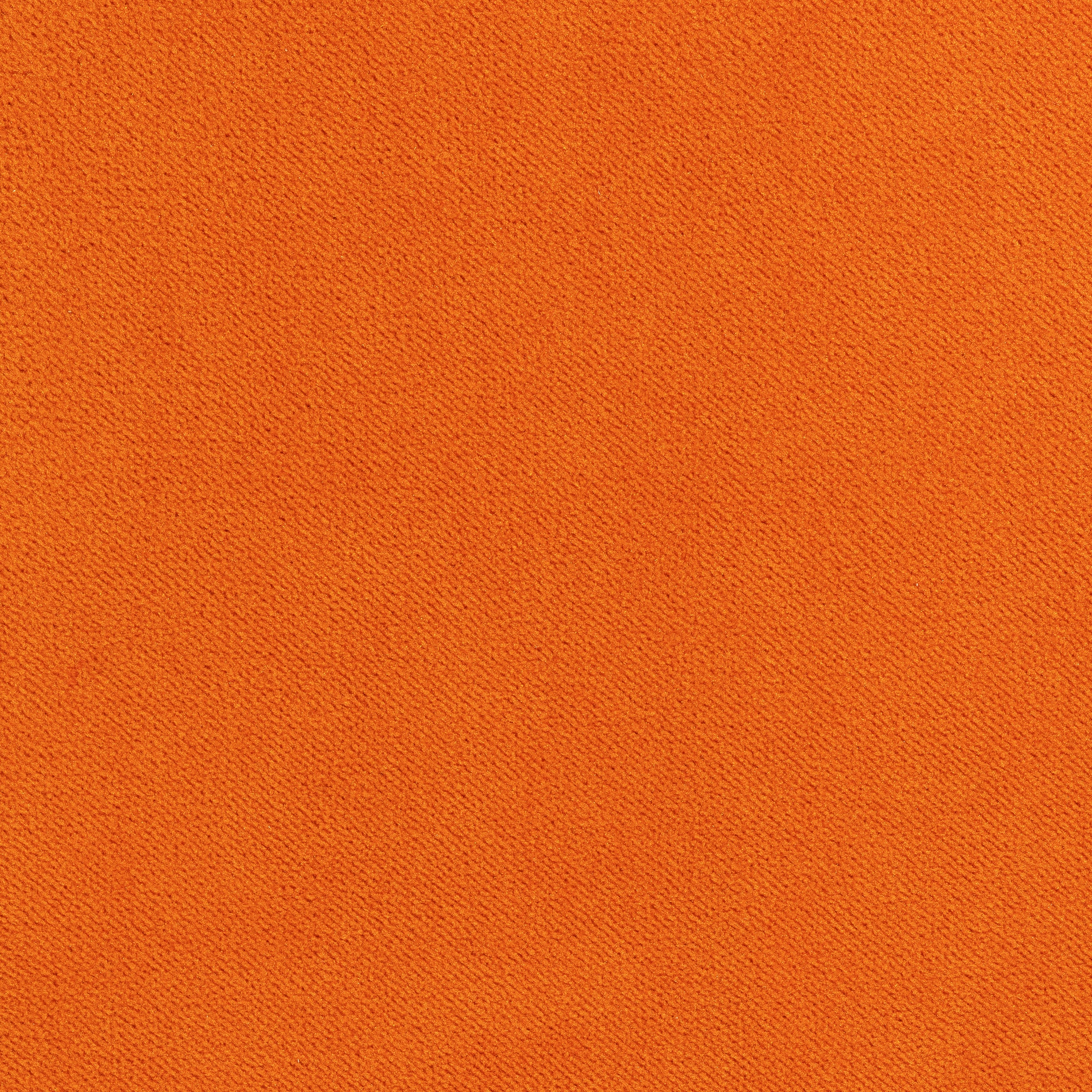 Club Velvet fabric in autumn color - pattern number W7202 - by Thibaut in the Club Velvet collection