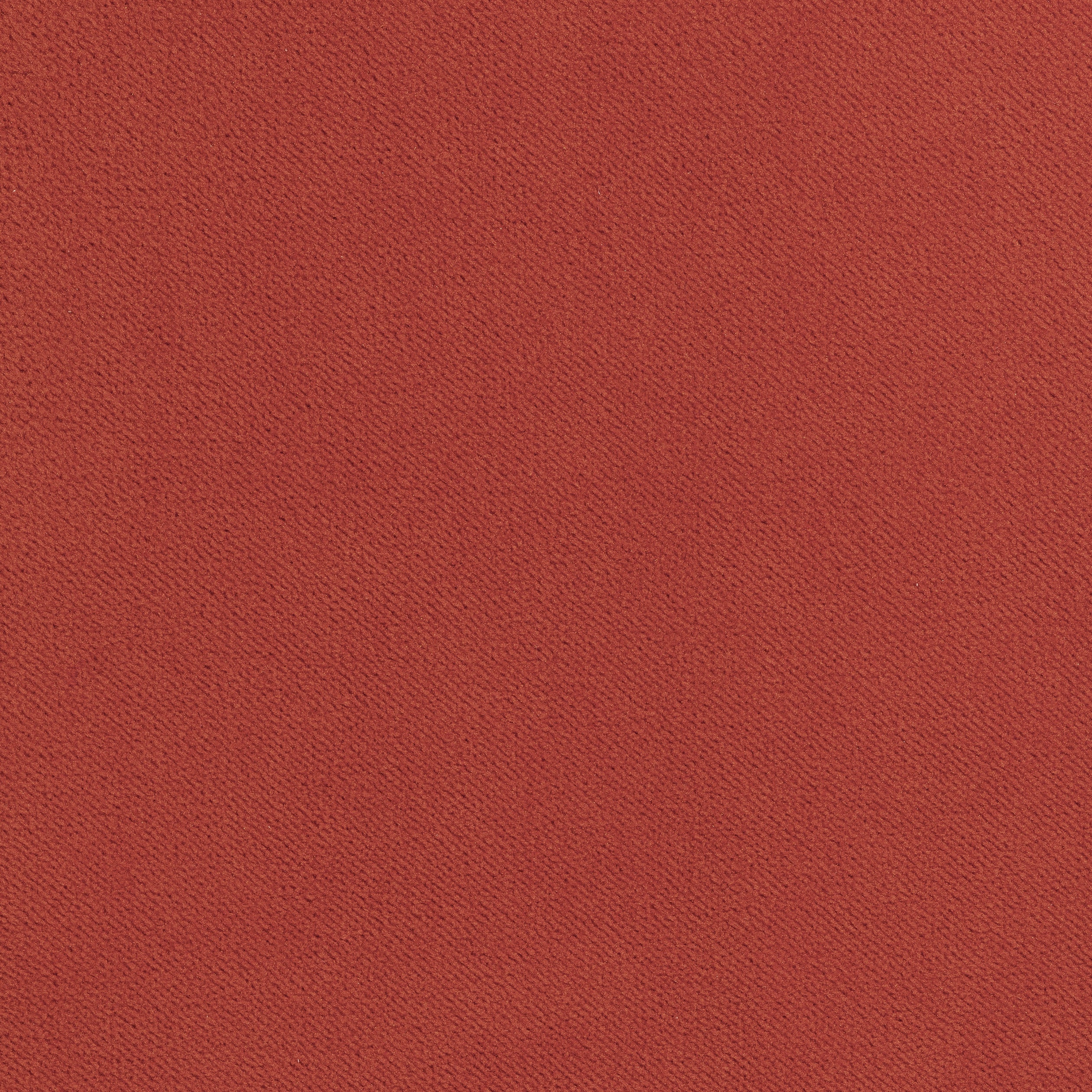 Club Velvet fabric in coral color - pattern number W7204 - by Thibaut in the Club Velvet collection