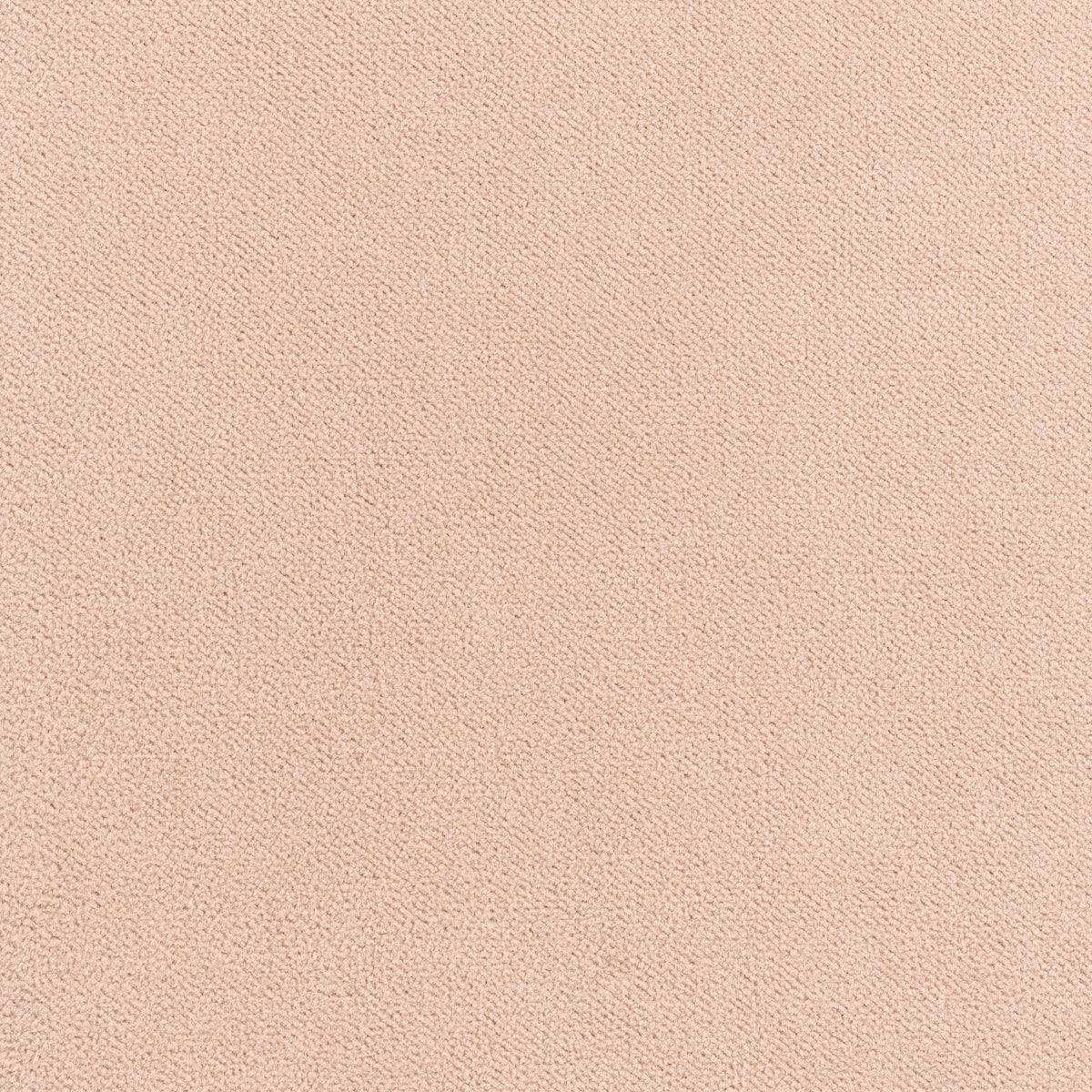 Club Velvet fabric in blush color - pattern number W7205 - by Thibaut in the Club Velvet collection