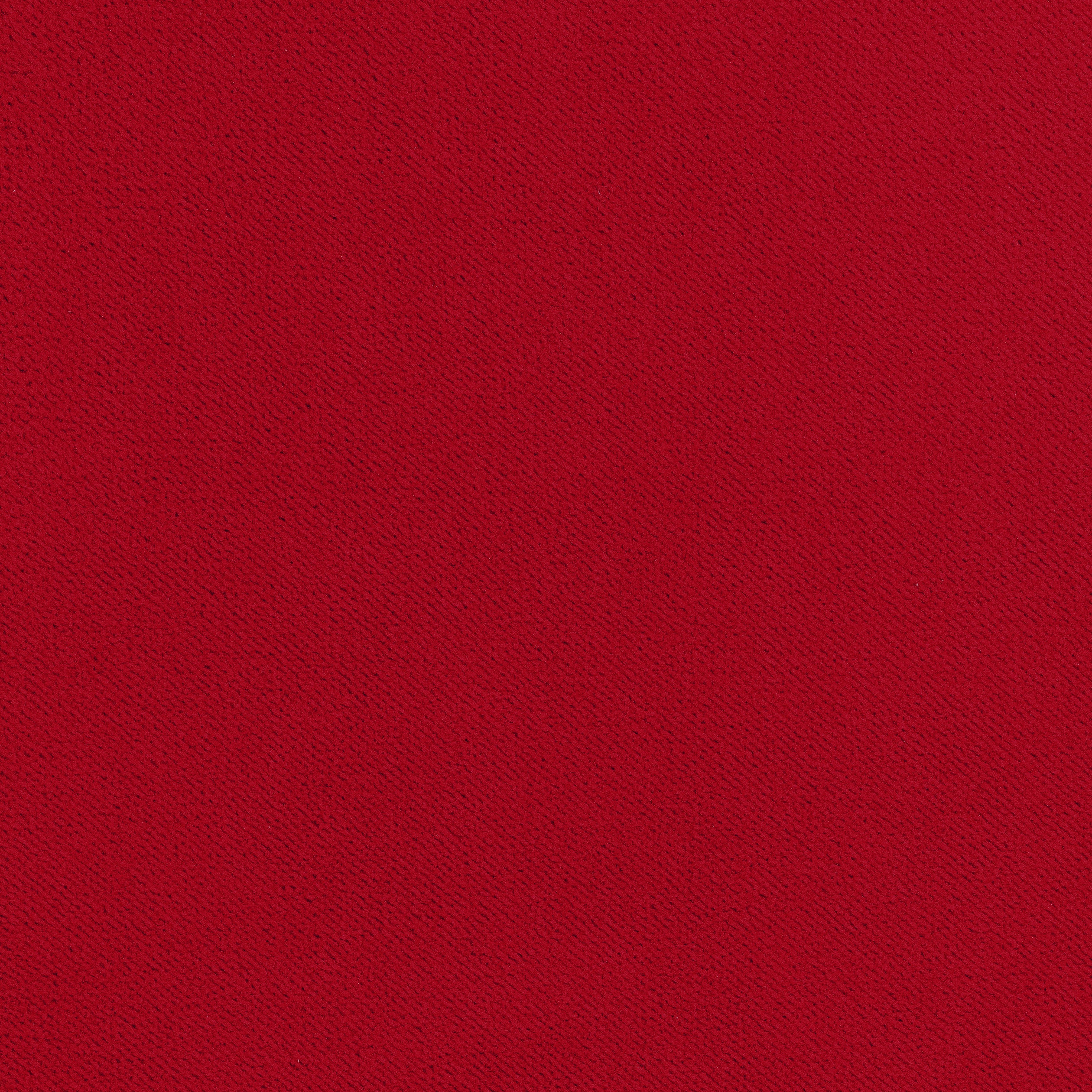 Club Velvet fabric in poppy color - pattern number W7208 - by Thibaut in the Club Velvet collection