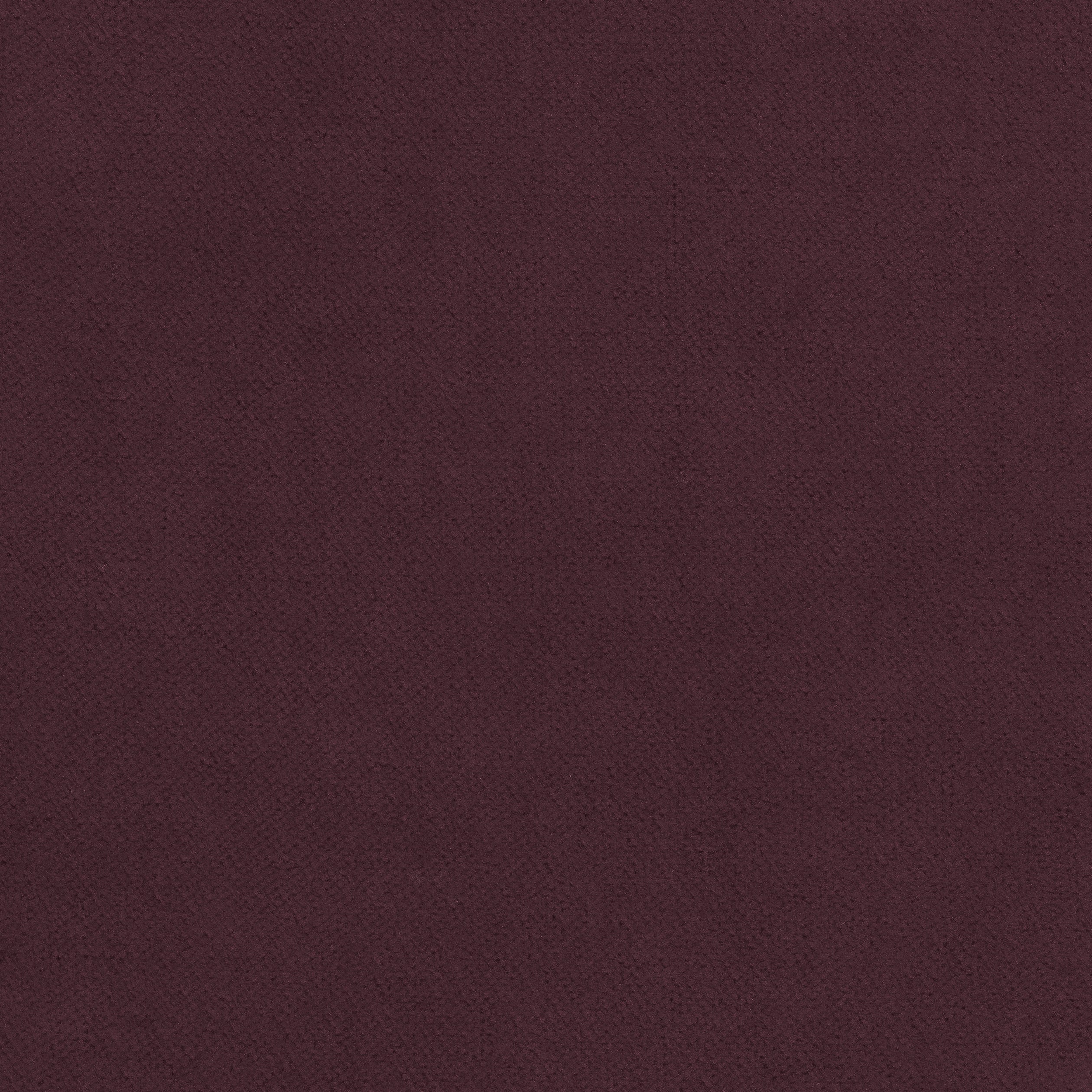 Club Velvet fabric in aubergine color - pattern number W7211 - by Thibaut in the Club Velvet collection