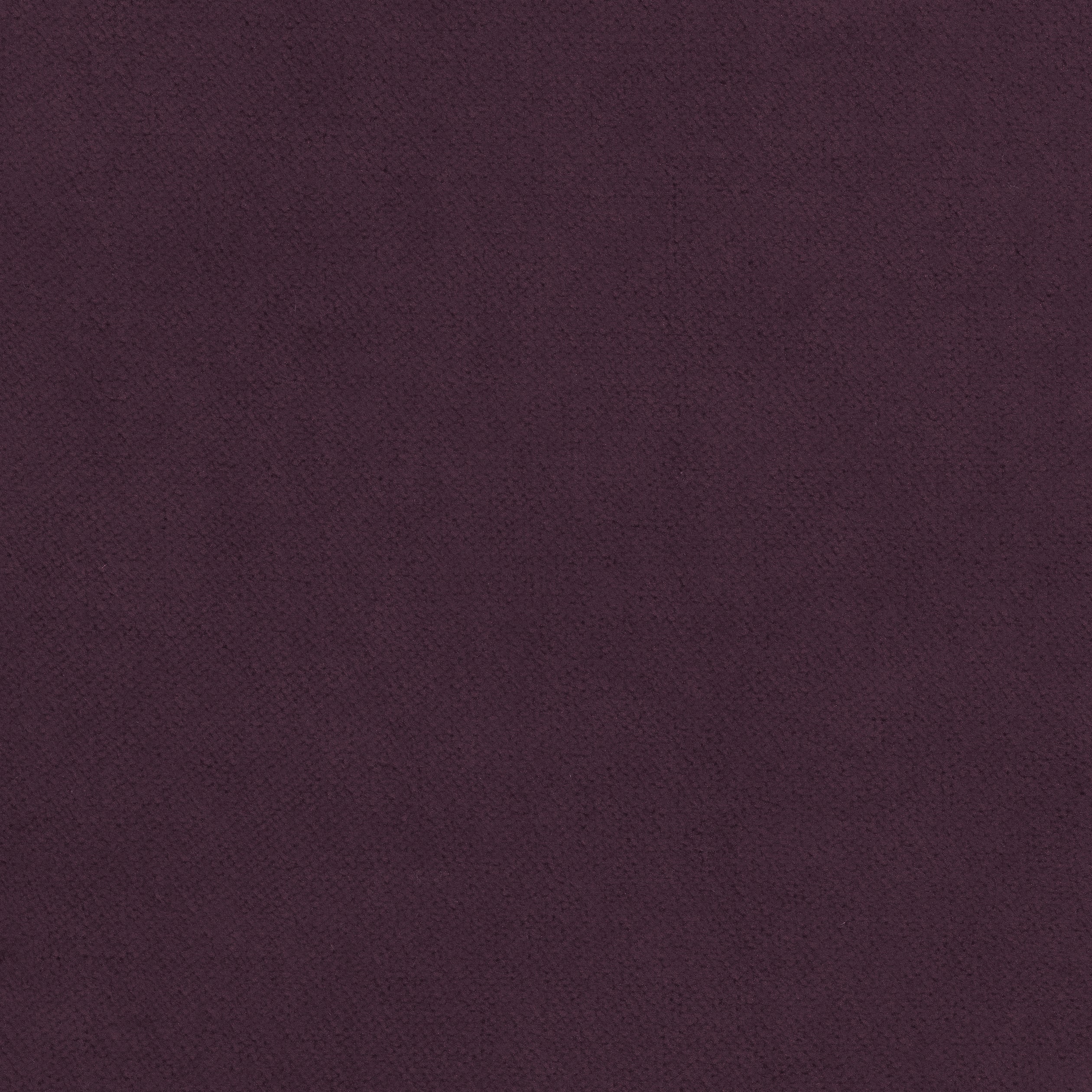 Club Velvet fabric in amethyst color - pattern number W7212 - by Thibaut in the Club Velvet collection