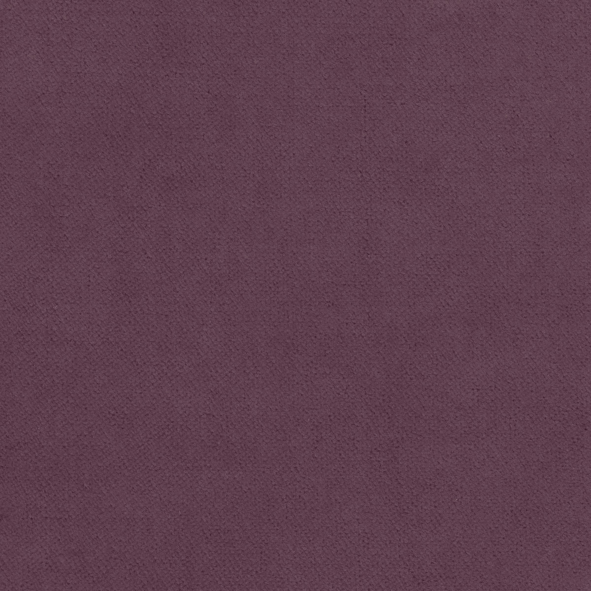 Club Velvet fabric in mulberry color - pattern number W7213 - by Thibaut in the Club Velvet collection