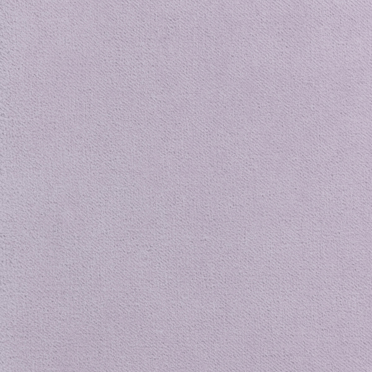 Club Velvet fabric in lilac color - pattern number W7214 - by Thibaut in the Club Velvet collection