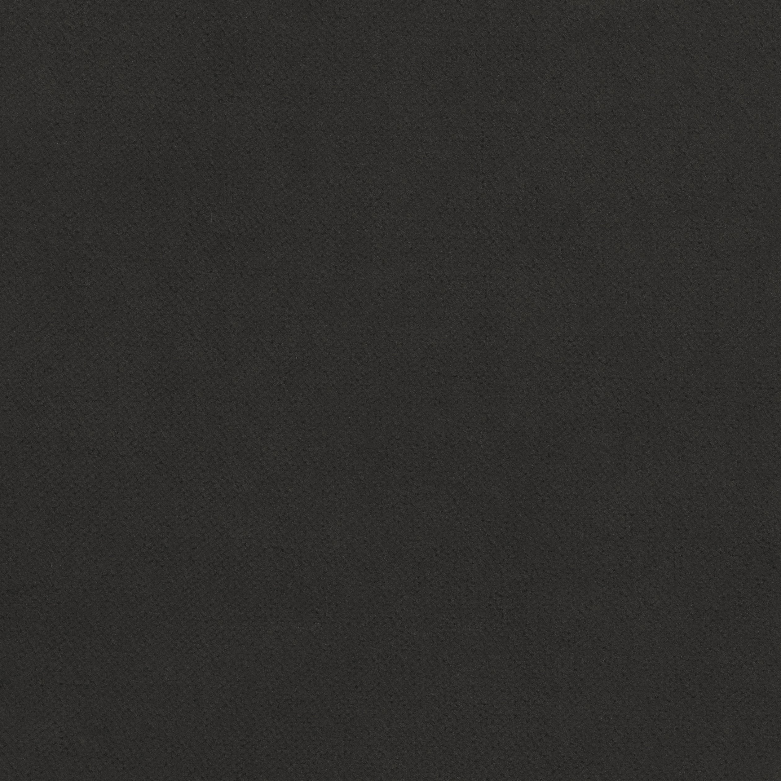 Club Velvet fabric in charcoal color - pattern number W7218 - by Thibaut in the Club Velvet collection