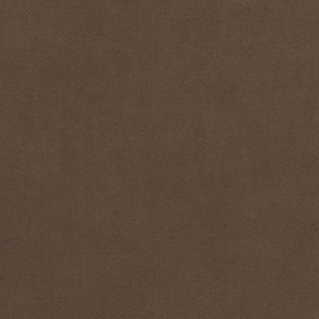 Club Velvet fabric in mink color - pattern number W7226 - by Thibaut in the Club Velvet collection