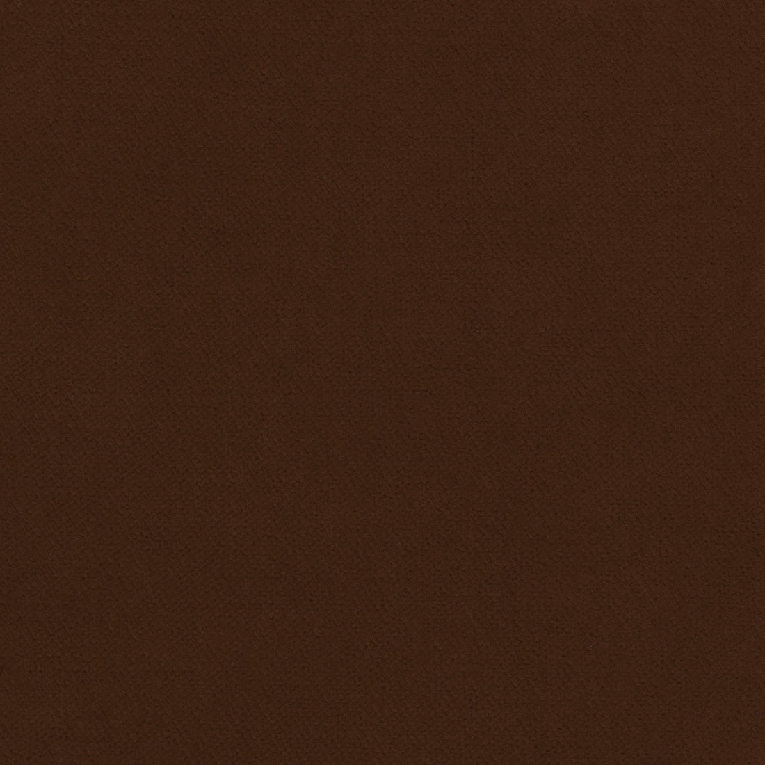 Club Velvet fabric in espresso color - pattern number W7227 - by Thibaut in the Club Velvet collection