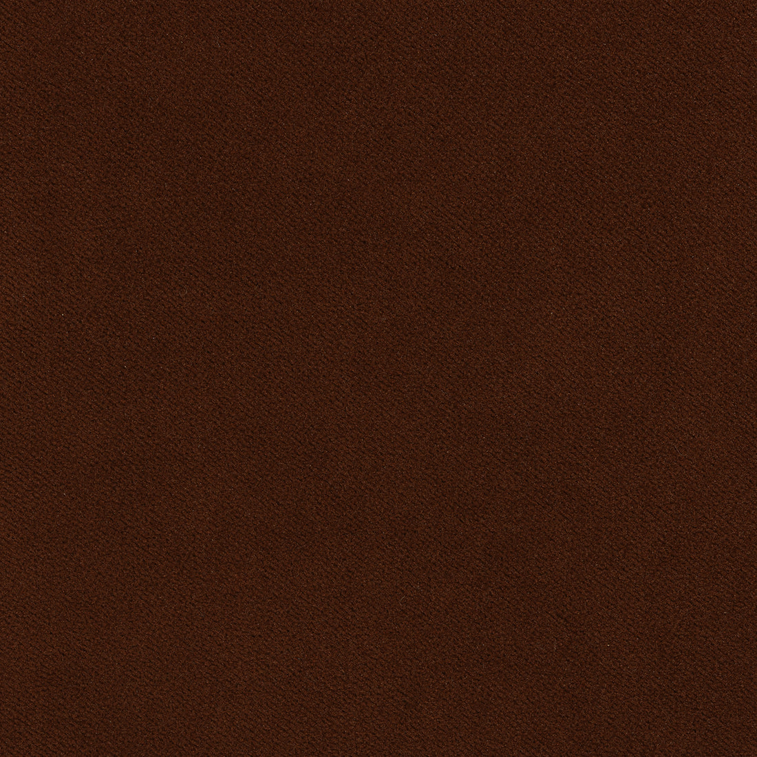 Club Velvet fabric in chocolate color - pattern number W7228 - by Thibaut in the Club Velvet collection