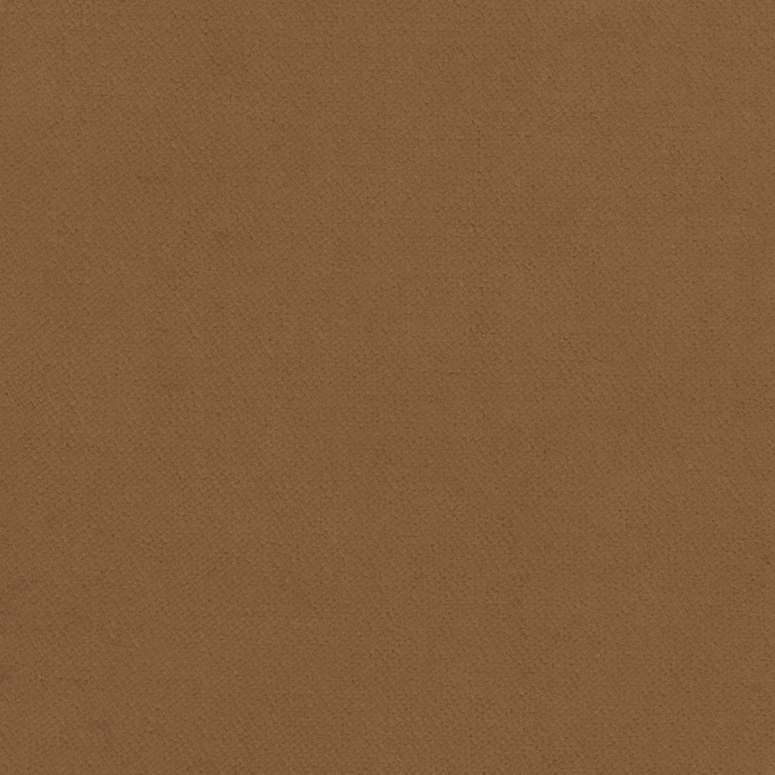 Club Velvet fabric in camel color - pattern number W7230 - by Thibaut in the Club Velvet collection