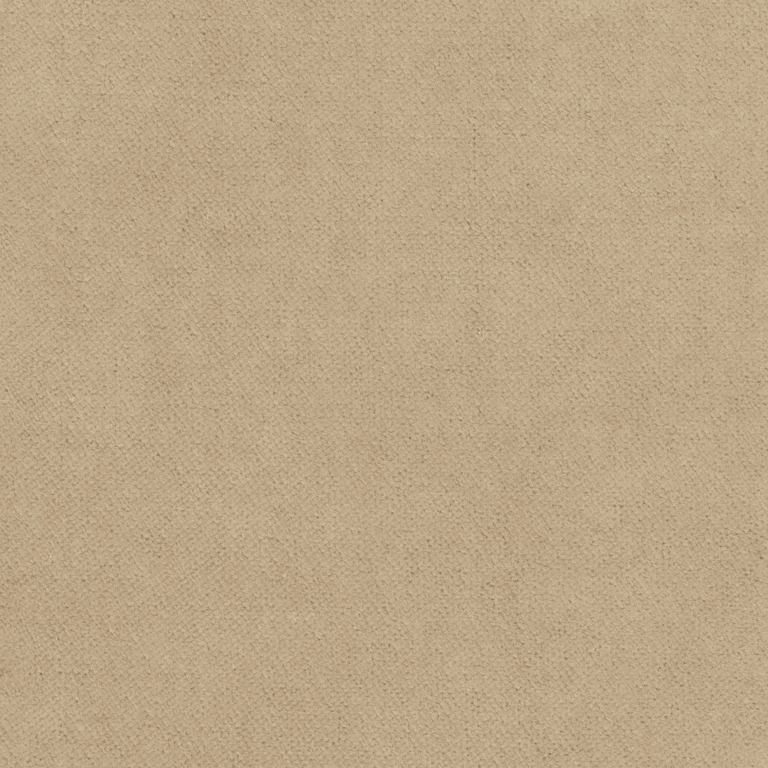 Club Velvet fabric in sand color - pattern number W7231 - by Thibaut in the Club Velvet collection