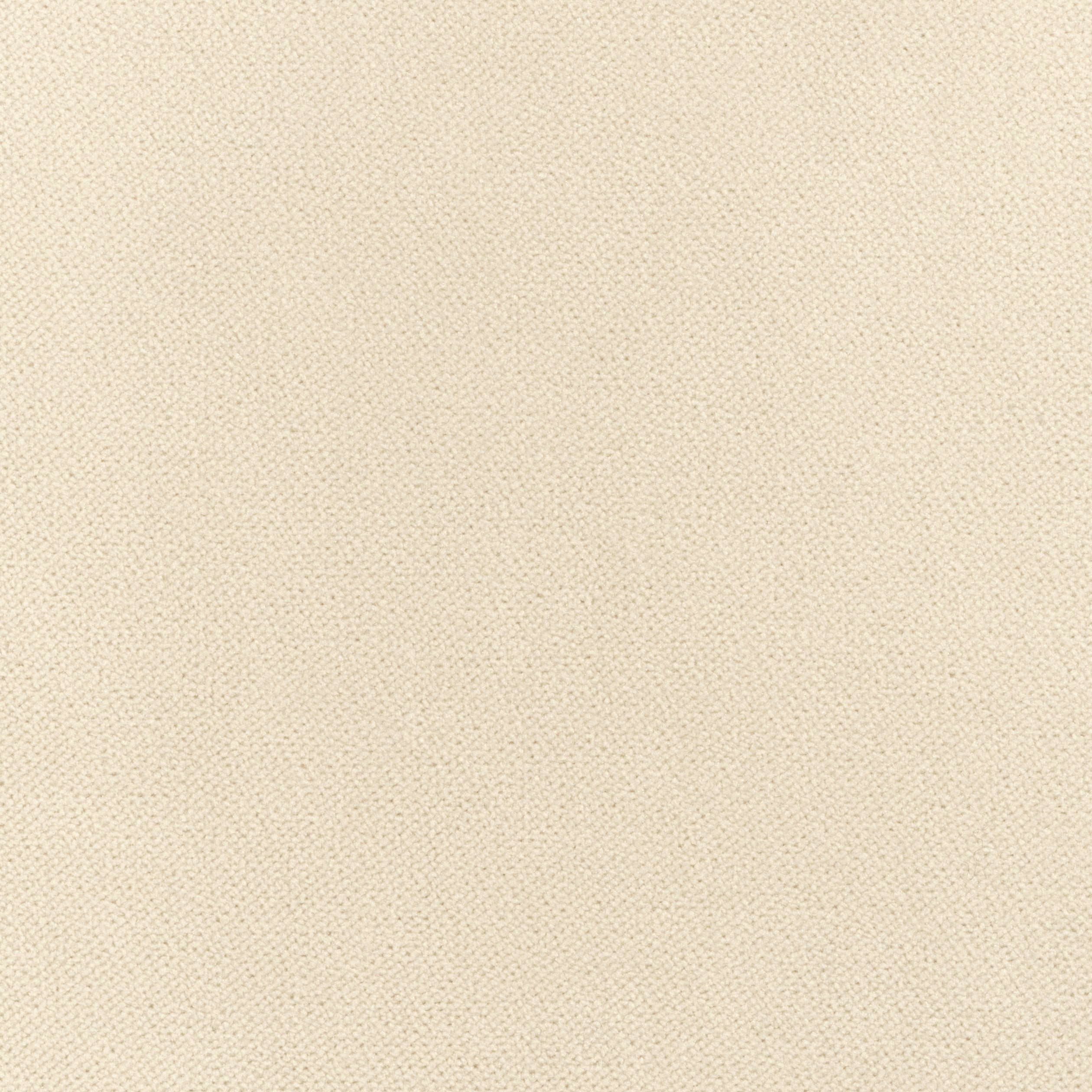 Club Velvet fabric in parchment color - pattern number W7232 - by Thibaut in the Club Velvet collection