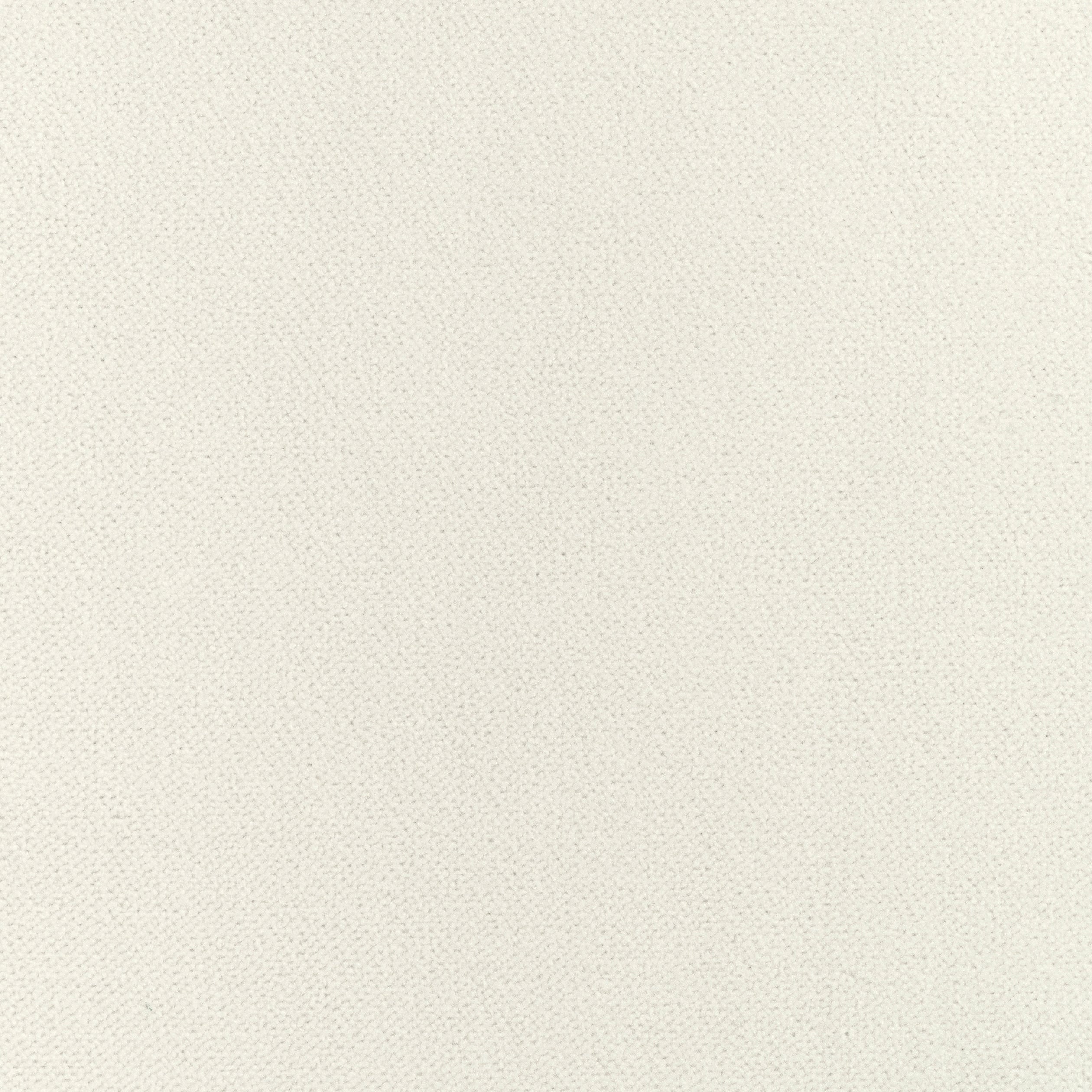 Club Velvet fabric in ivory color - pattern number W7233 - by Thibaut in the Club Velvet collection