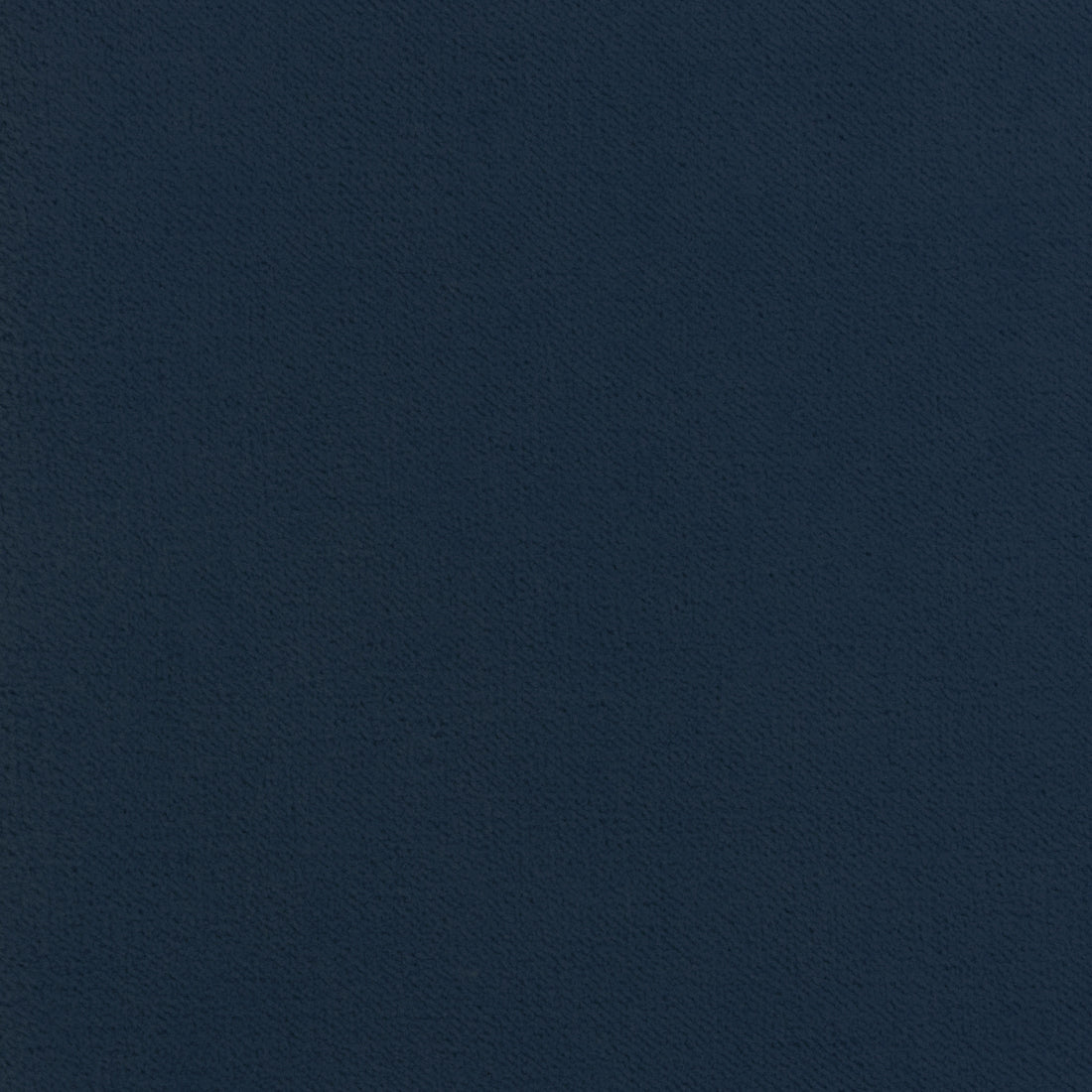 Club Velvet fabric in indigo color - pattern number W7236 - by Thibaut in the Club Velvet collection