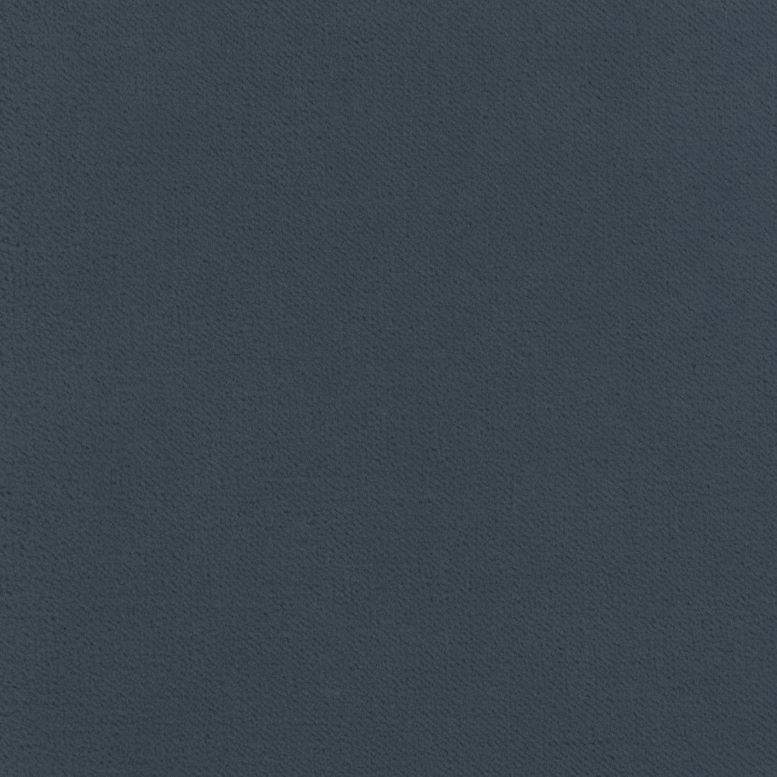 Club Velvet fabric in heron color - pattern number W7240 - by Thibaut in the Club Velvet collection