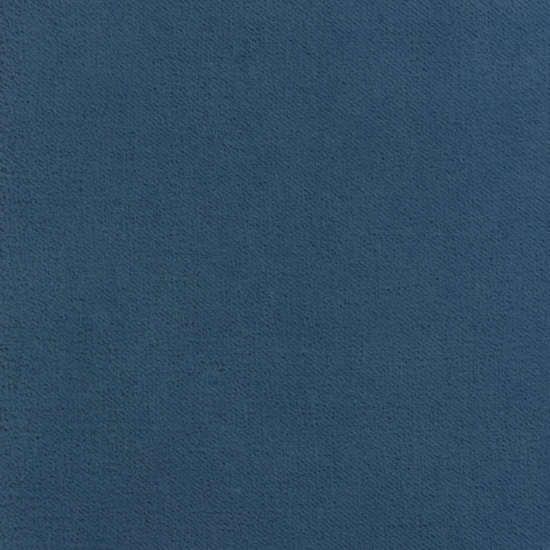 Club Velvet fabric in cornflower color - pattern number W7242 - by Thibaut in the Club Velvet collection