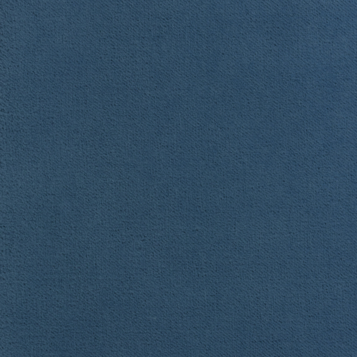 Club Velvet fabric in cornflower color - pattern number W7242 - by Thibaut in the Club Velvet collection