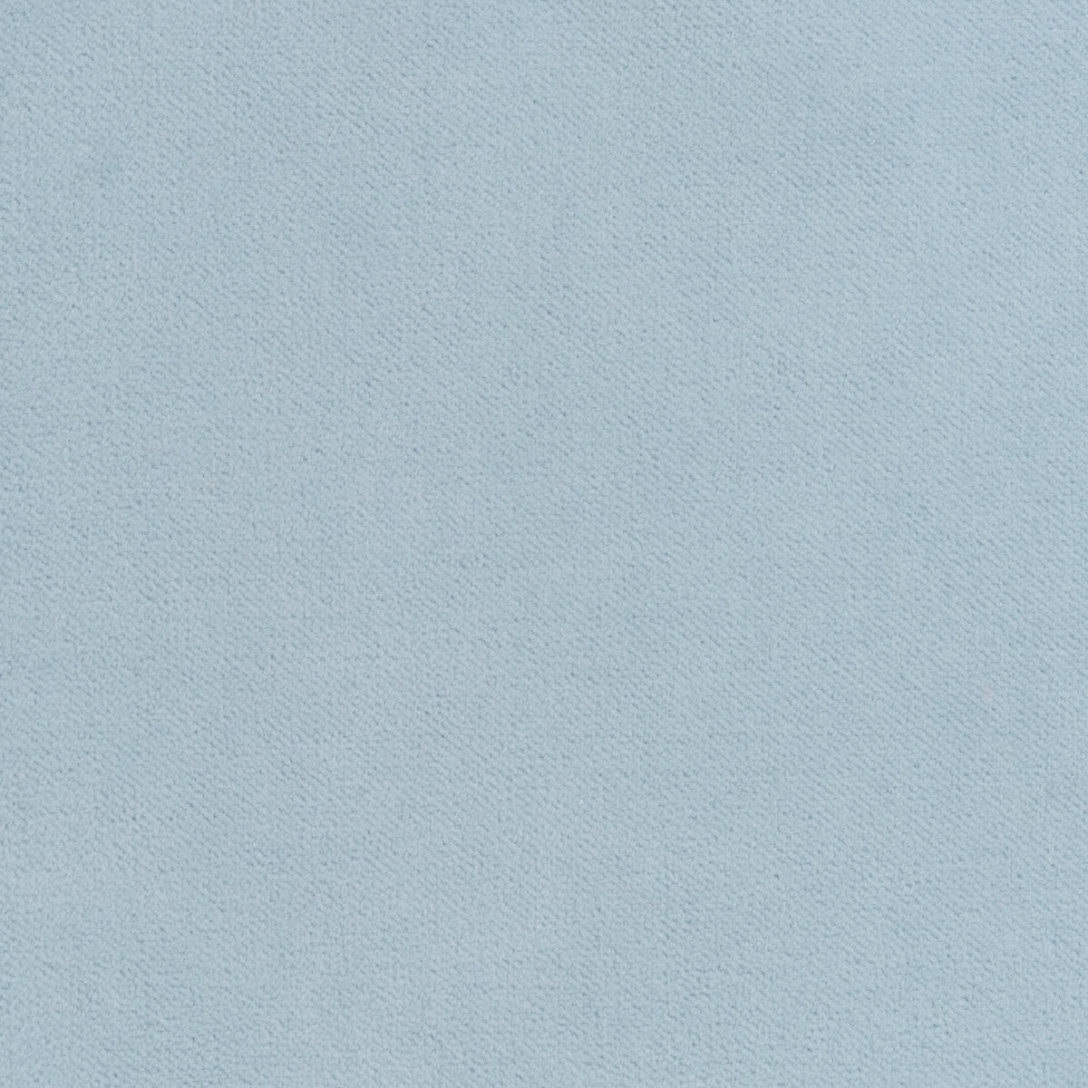 Club Velvet fabric in sky color - pattern number W7244 - by Thibaut in the Club Velvet collection