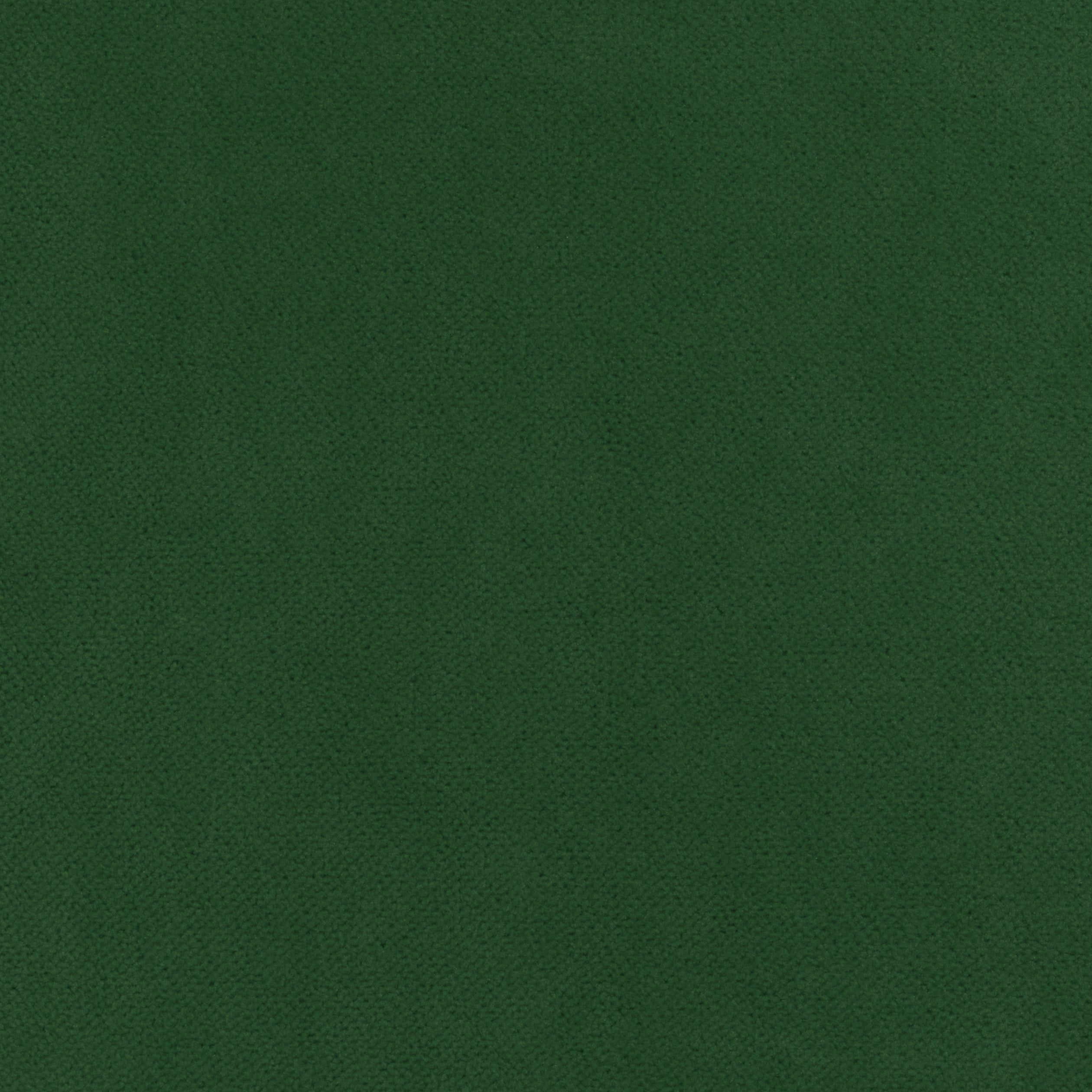 Club Velvet fabric in emerald color - pattern number W7251 - by Thibaut in the Club Velvet collection