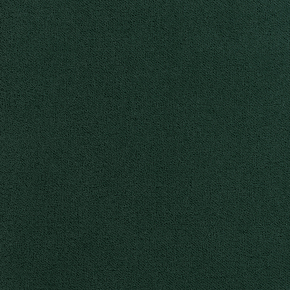 Club Velvet fabric in billiard color - pattern number W7252 - by Thibaut in the Club Velvet collection