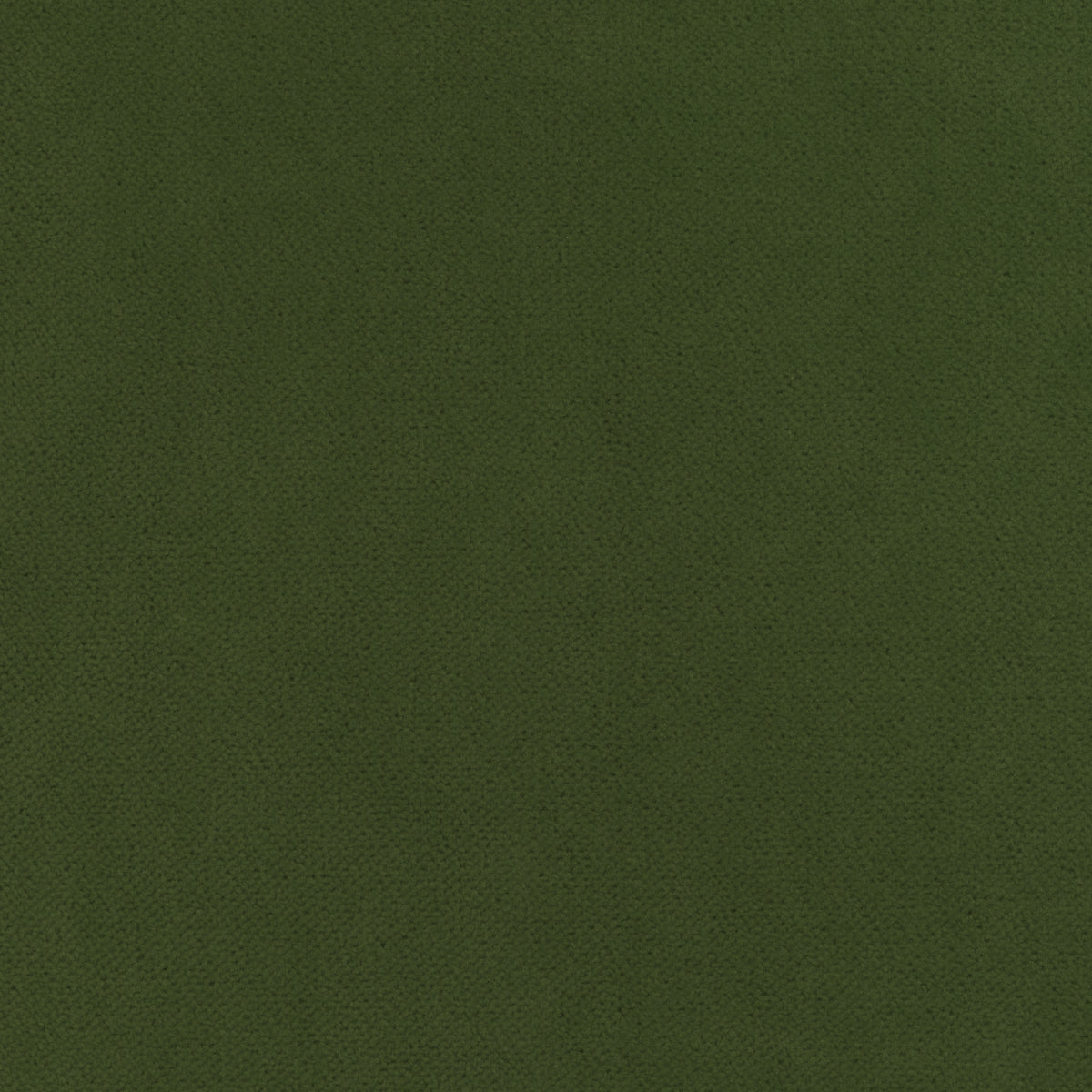 Club Velvet fabric in ivy color - pattern number W7253 - by Thibaut in the Club Velvet collection